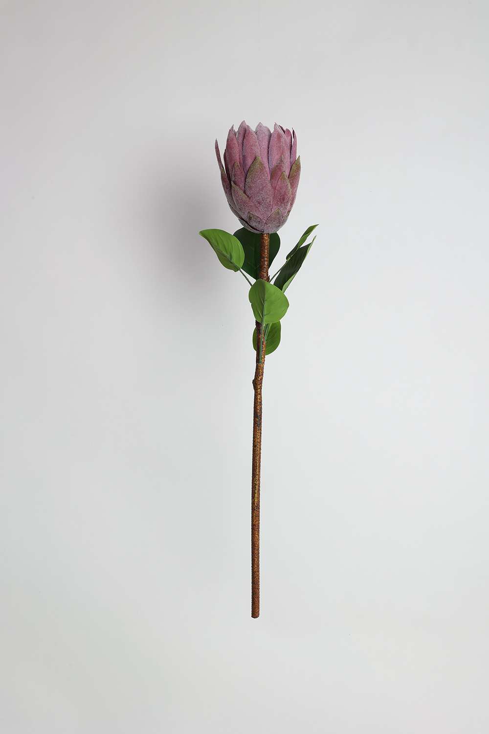 Florasilk-Protea-Plastic-Artificial-Flowers---67-cm