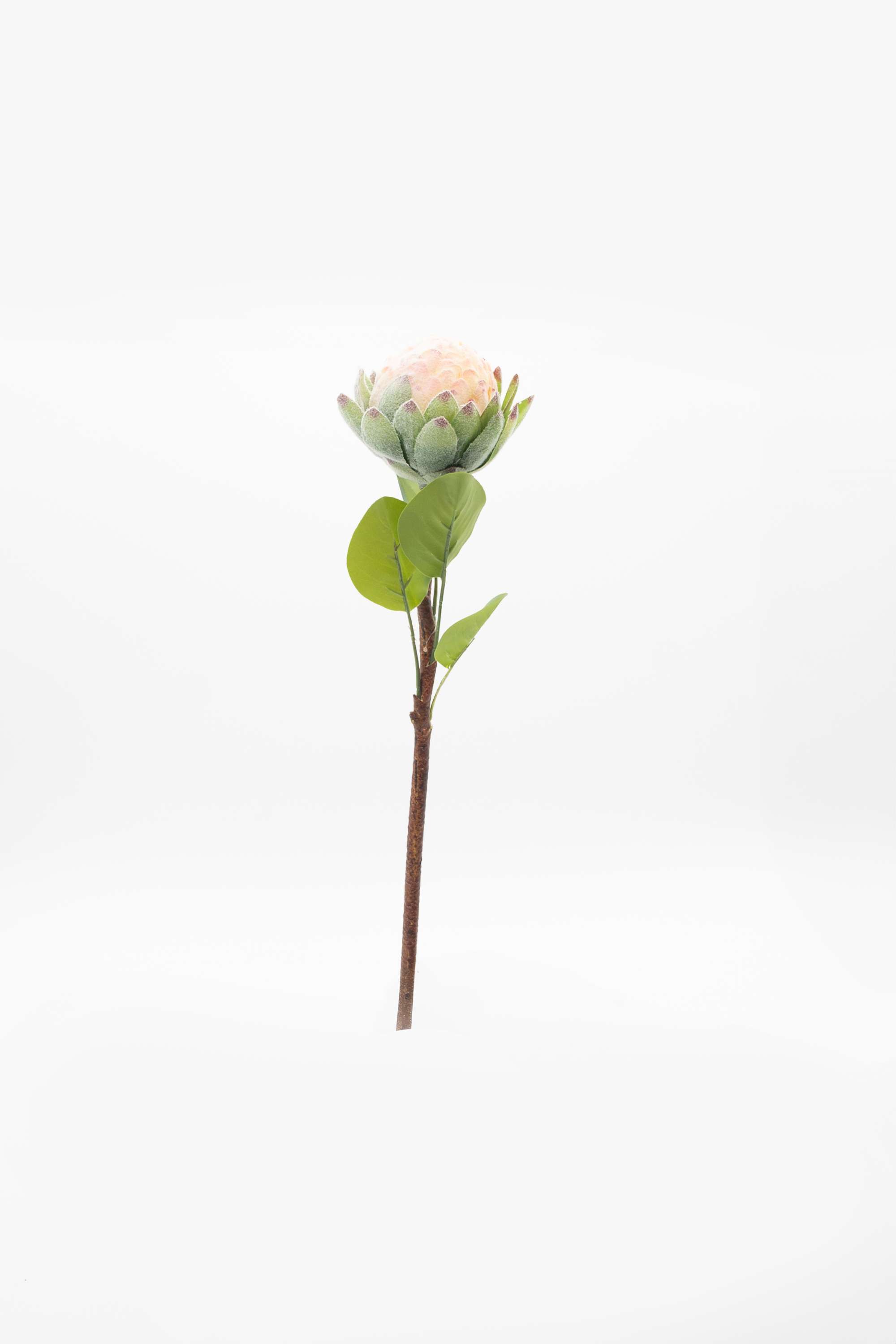 Florasilk-Protea-Bud-Flower-Stem-Pink-46Cm