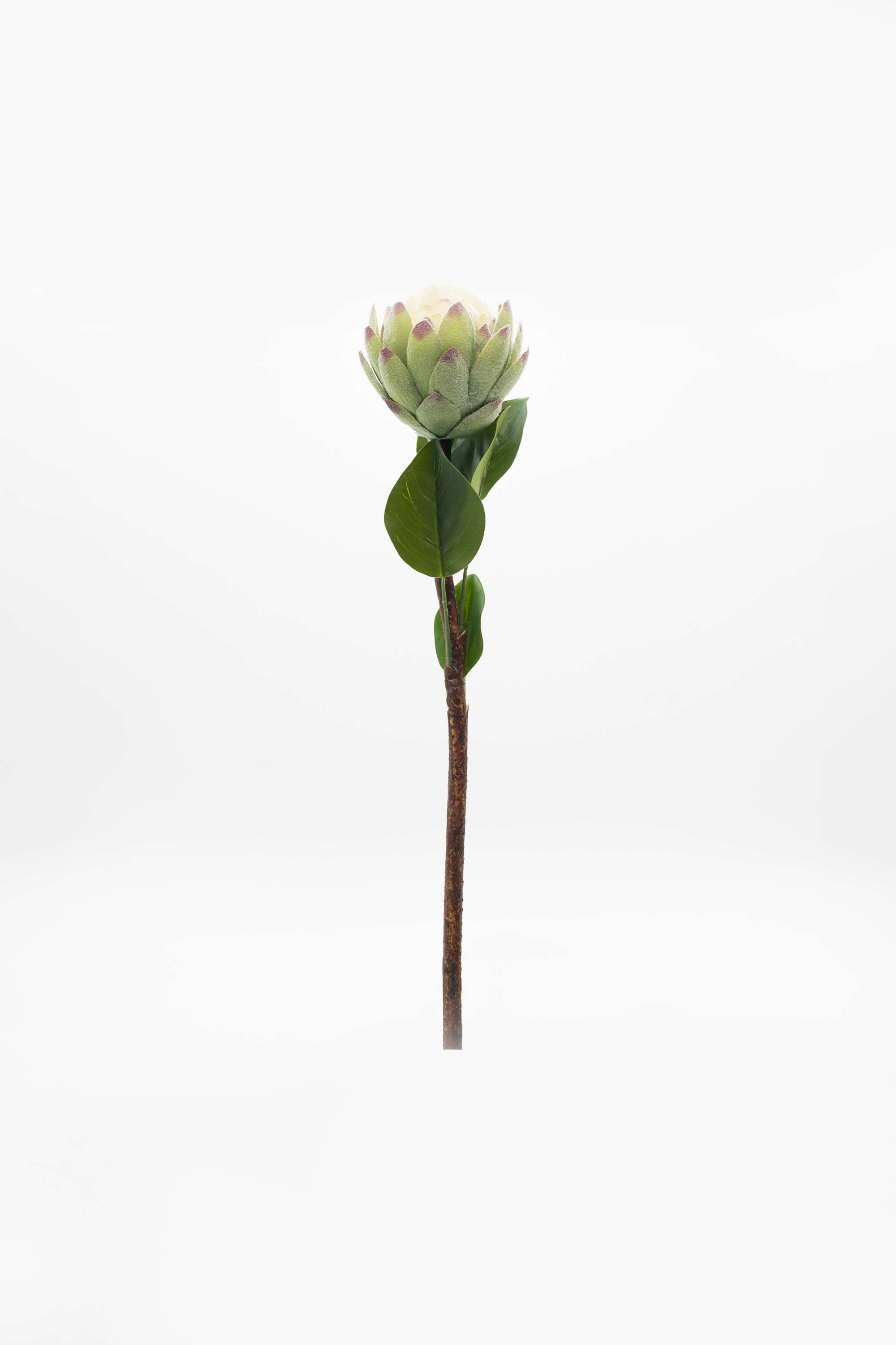 Florasilk-Protea-Bud-Flower-Stem-White-46Cm