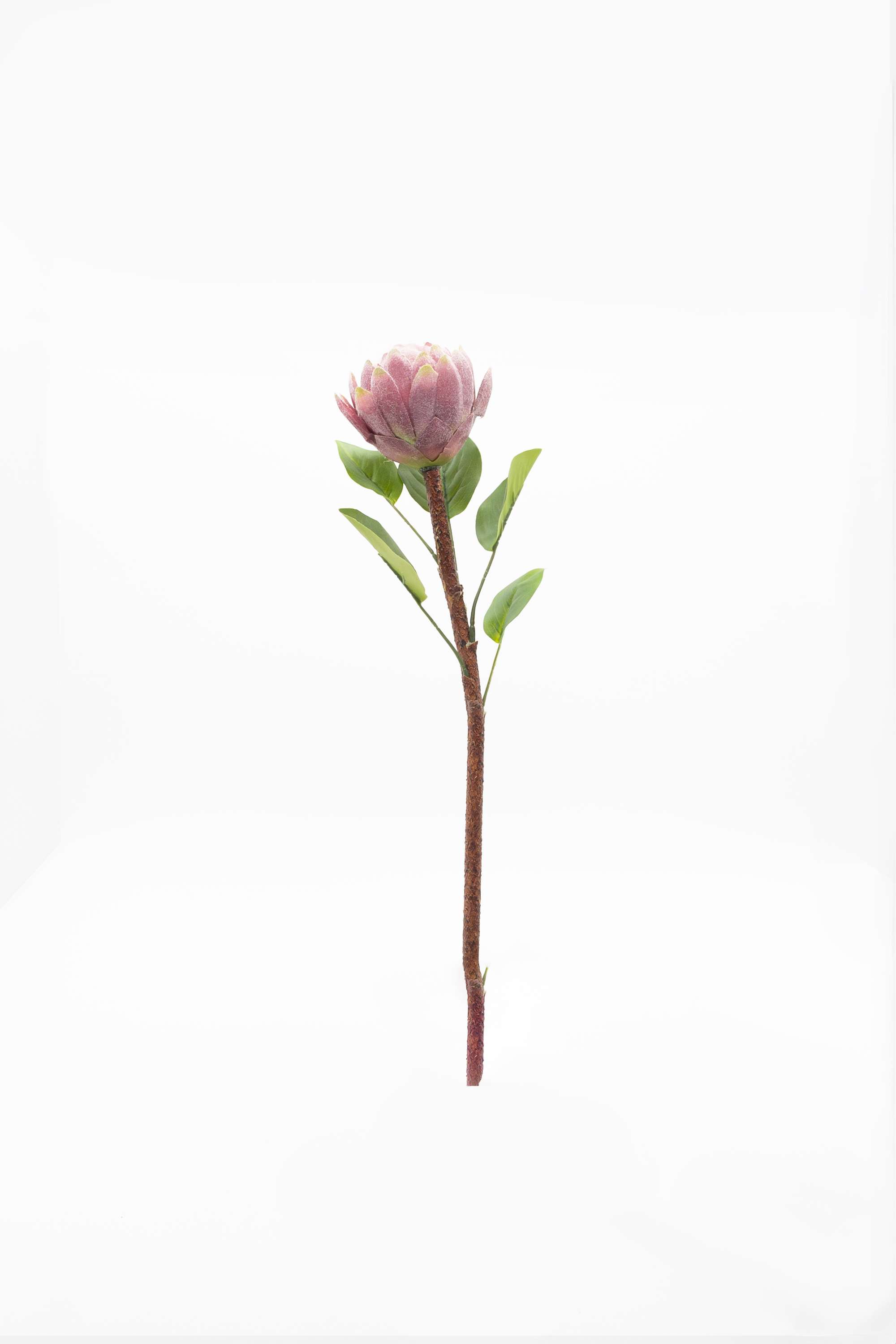 Florasilk-Protea-Bud-Flower-Stem-Purple-46Cm