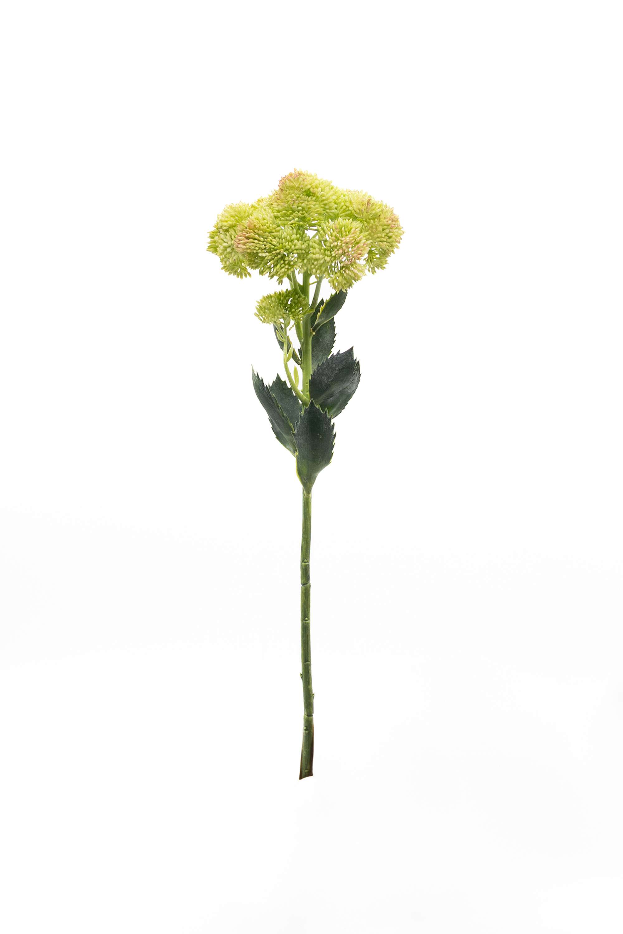 Florasilk-sedum-flower-stem-green-55CM