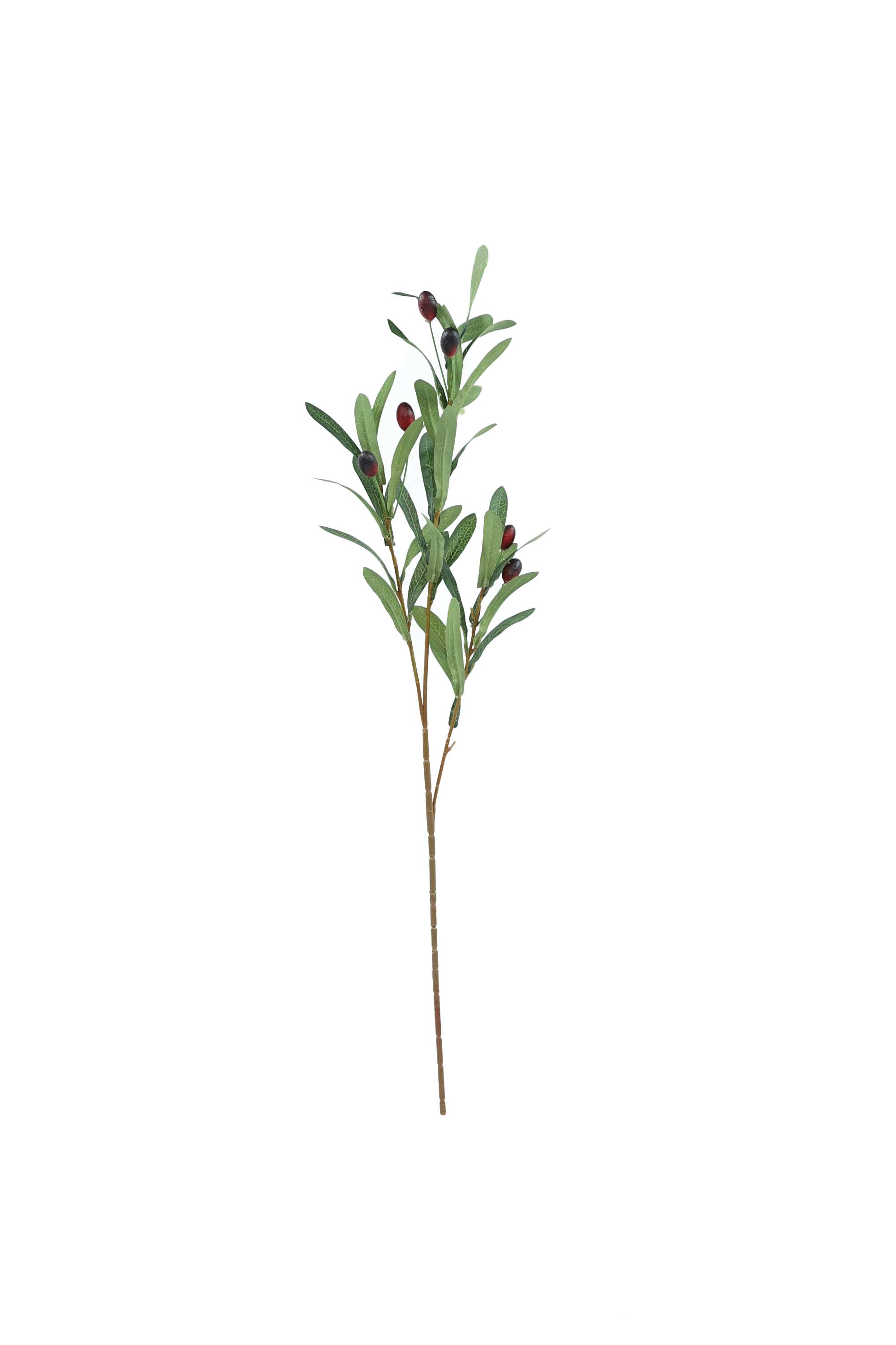 Florasilk-olive-stem-green-70CM