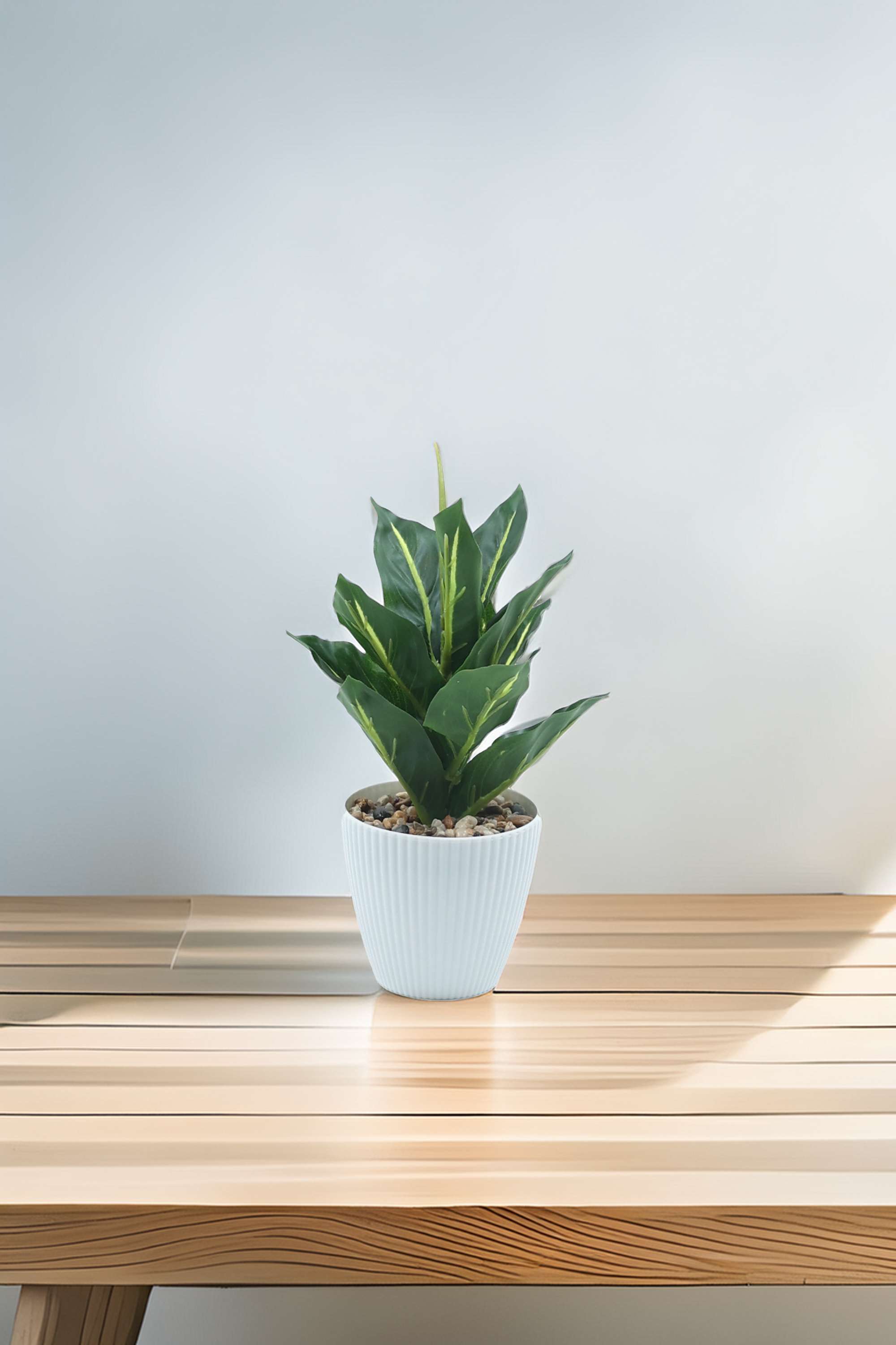 Everera-Plastic-Aglaonema-Potted-Plant