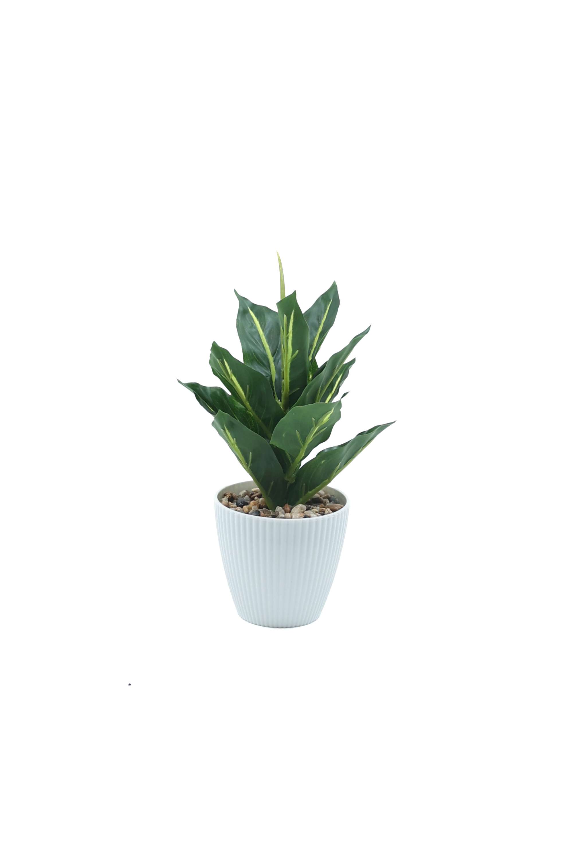Everera-Plastic-Aglaonema-Potted-Plant