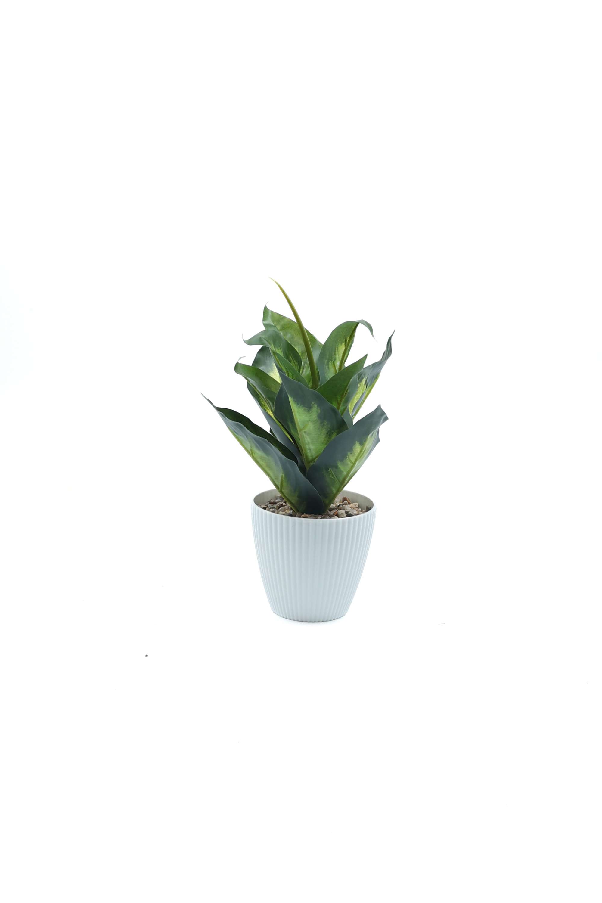 Everera-Plastic-Aglaonema-Potted-Plant