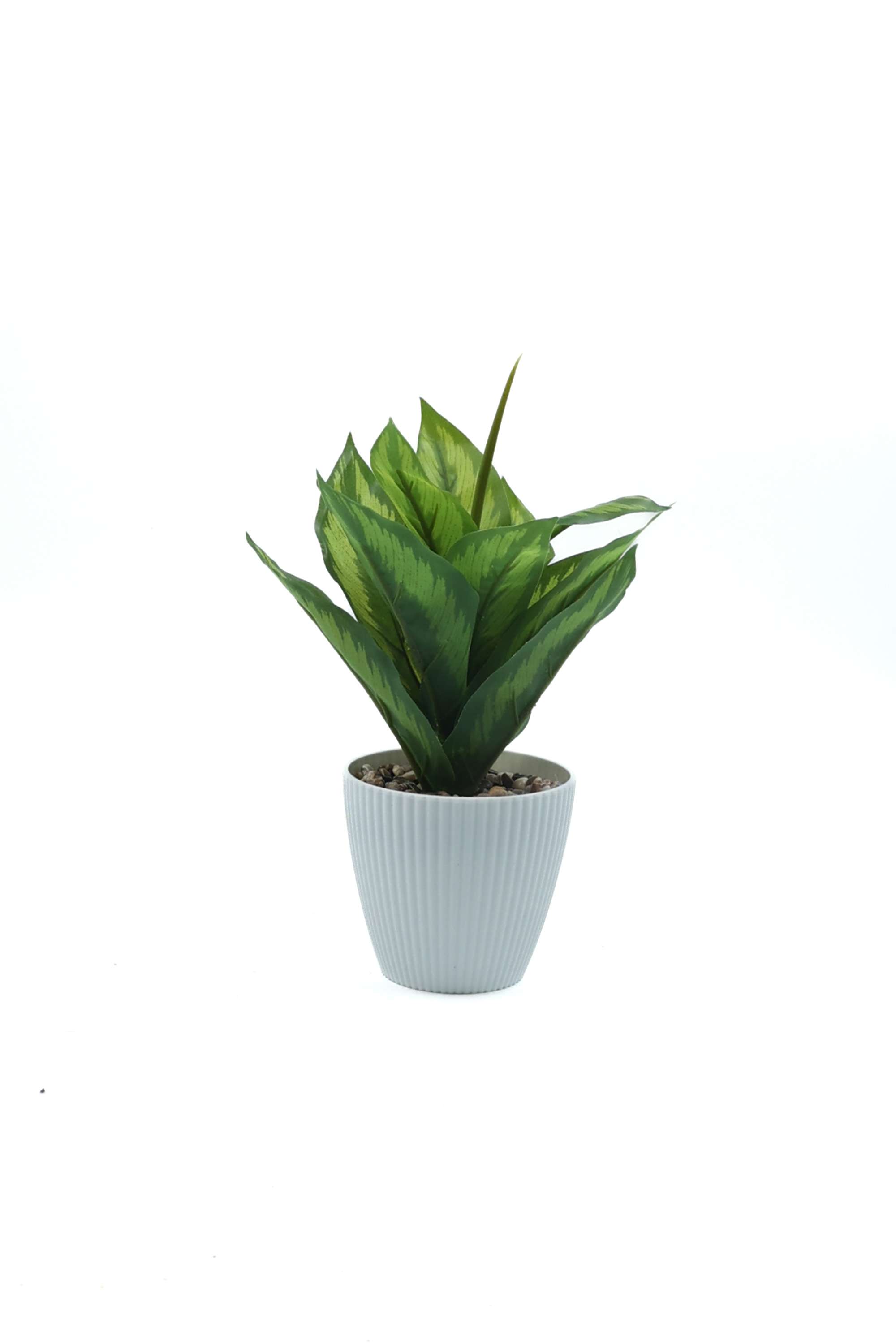 Everera-Plastic-Aglaonema-Potted-Plant