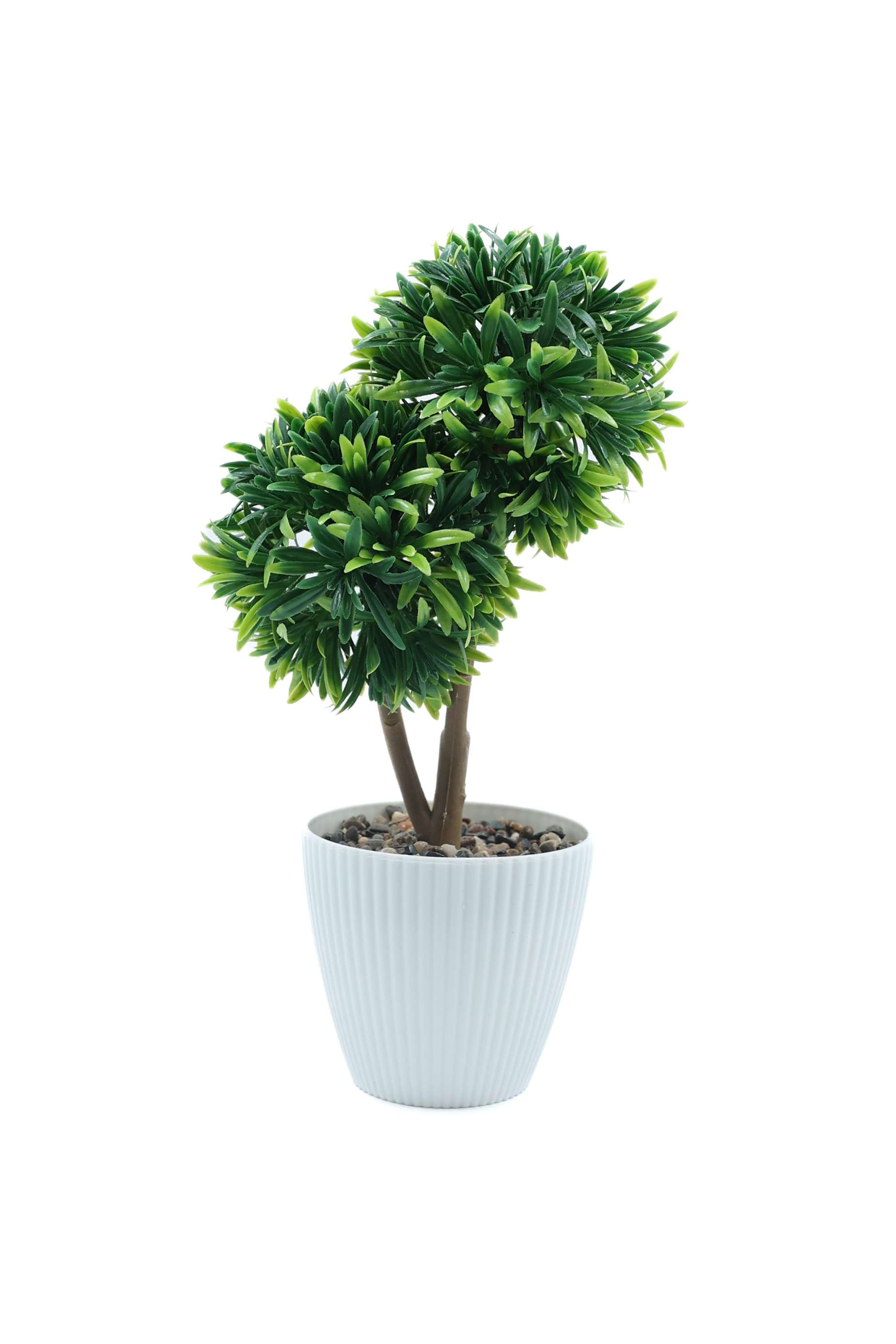 Everera-boxwood-potted-plant-d-green-26CM
