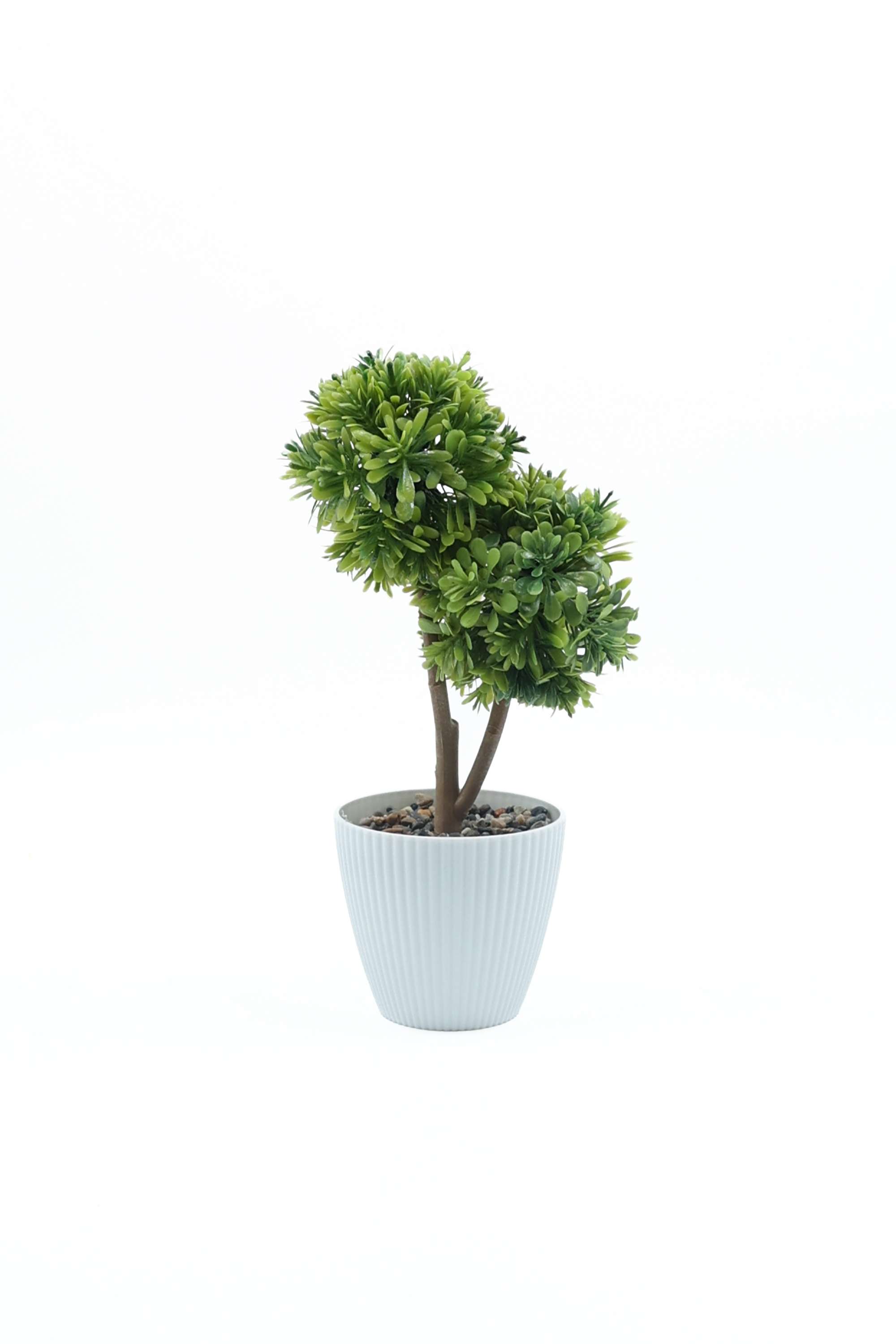 Everera-boxwood-potted-plant-green-26CM
