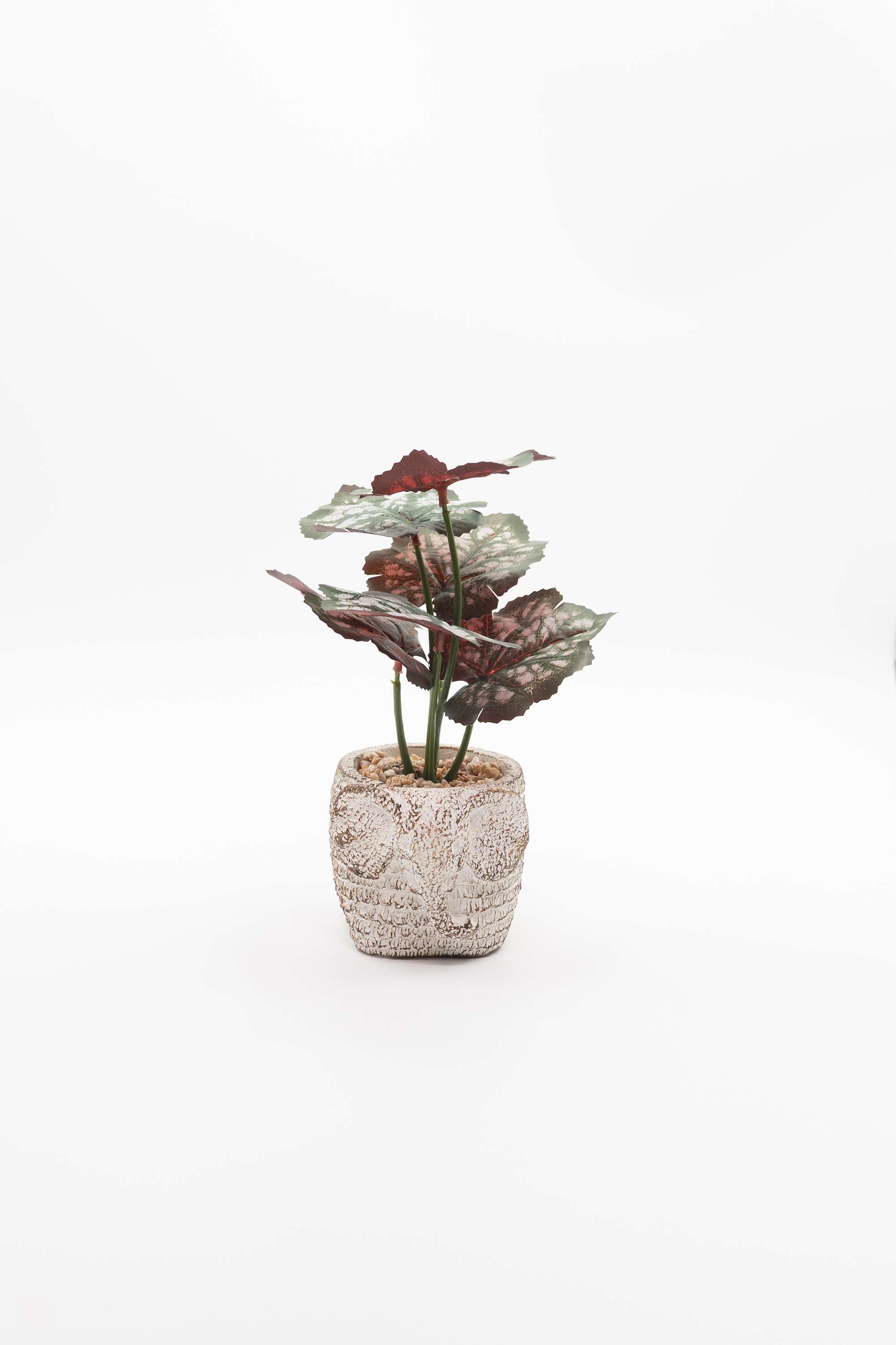 Everera-Elephnat-Ceramic-Potted-Plant-Green