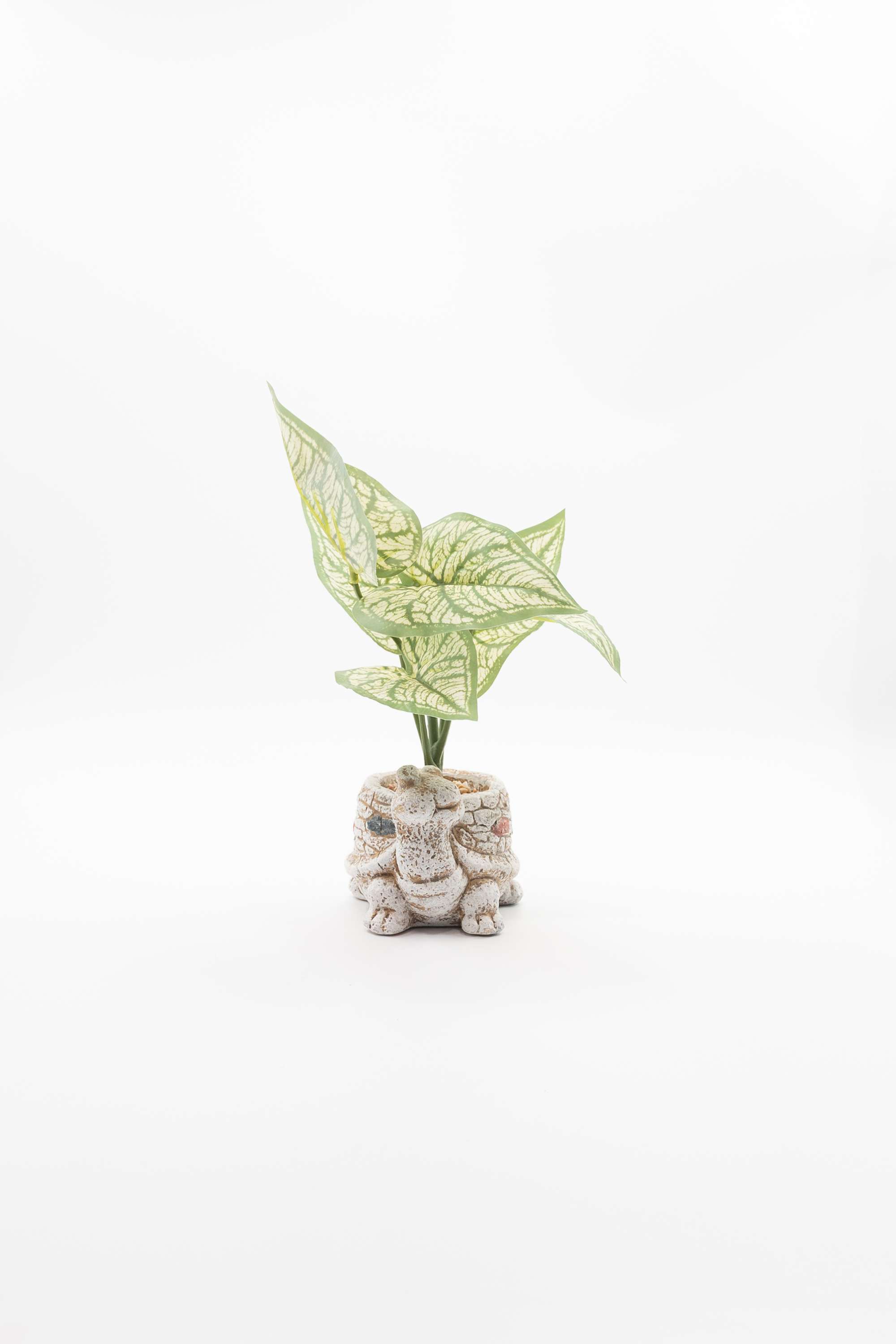 Everera-Turtle-Ceramic-Potted-Plant-Green