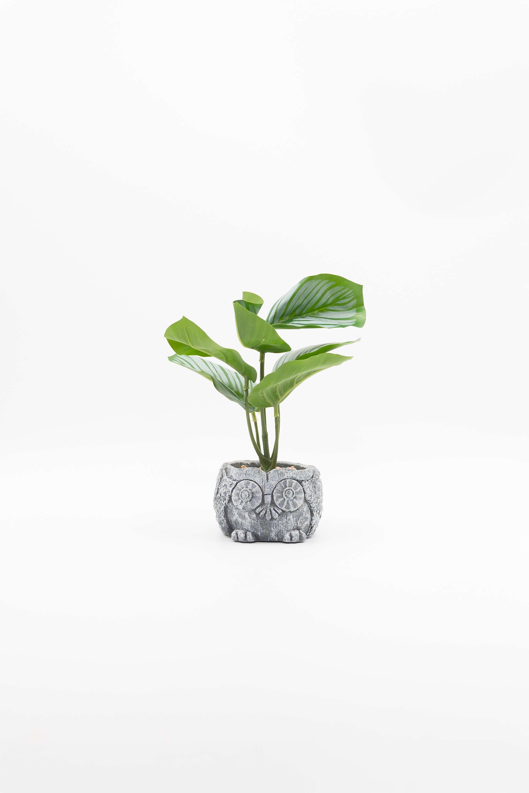 Everera-Owl-Ceramic-Potted-Plant-Green