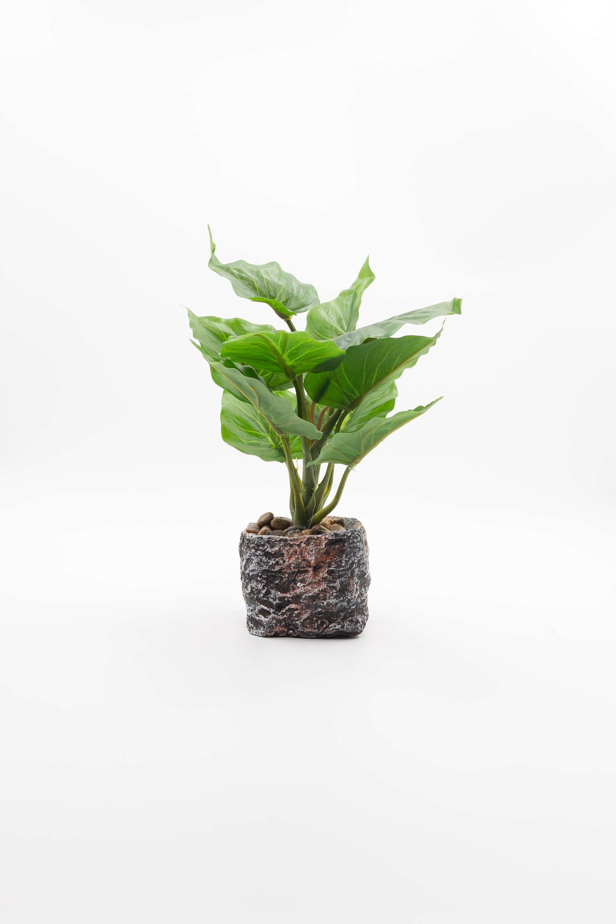 Everera-Rock-Textured-Ceramic-Potted-Plant-Green-28Cm