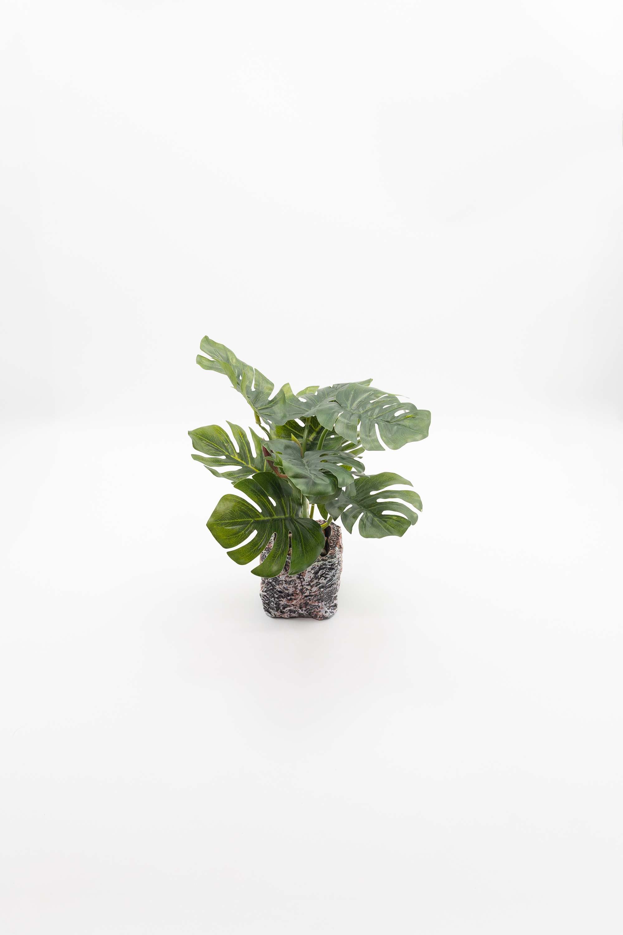 Everera-Rock-Textured-Ceramic-Potted-Plant-Green-28Cm
