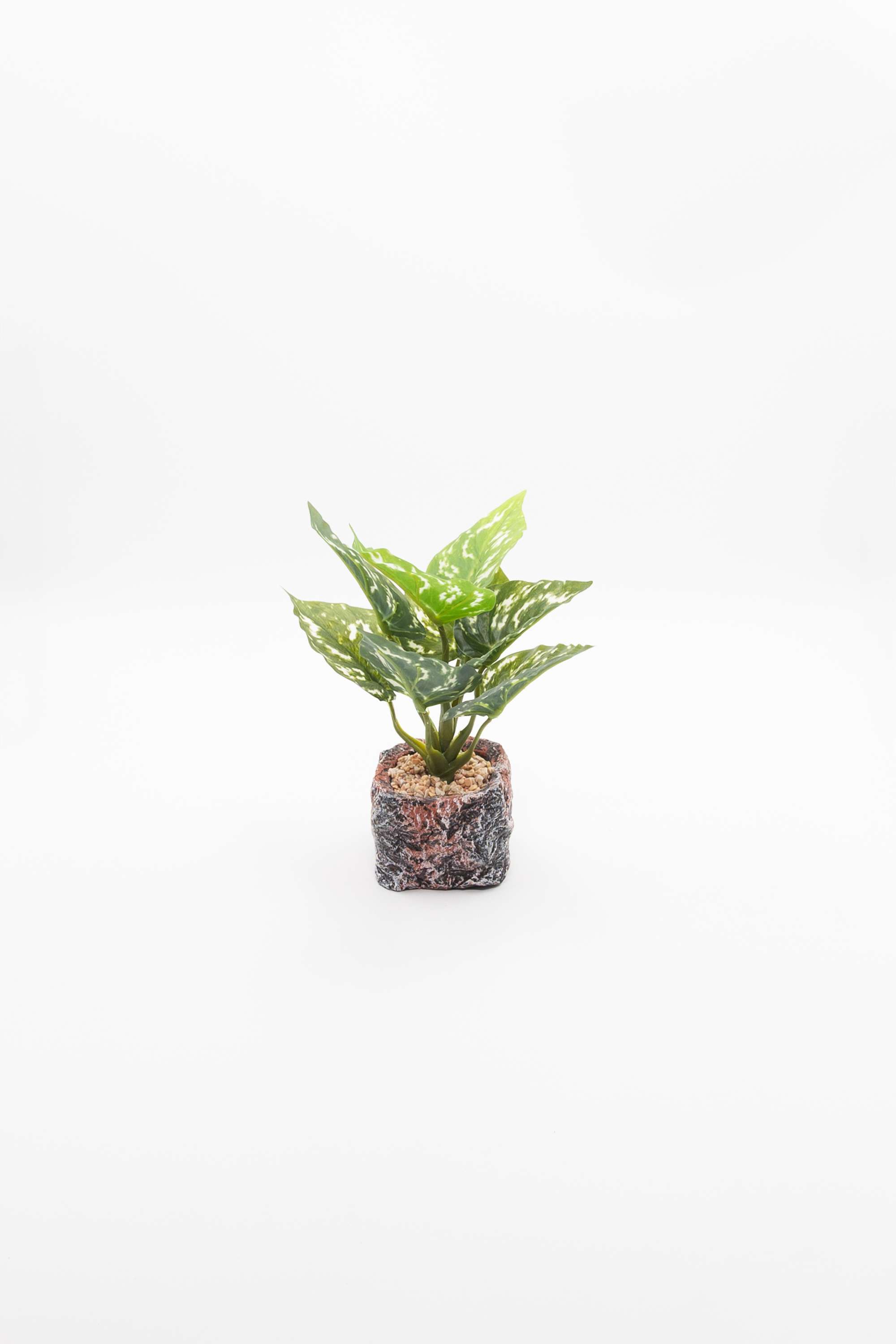 Everera-Rock-Textured-Ceramic-Potted-Plant-Green-28Cm