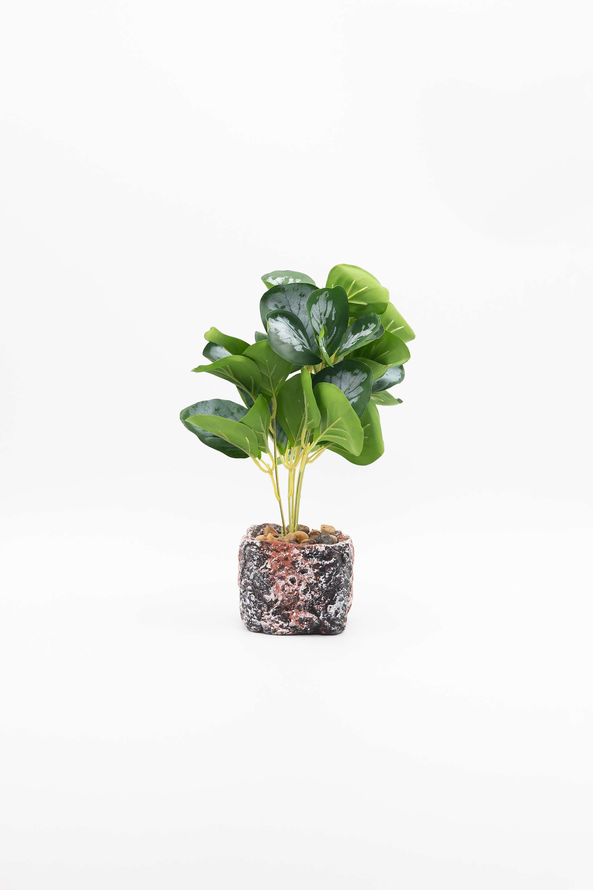 Everera-Rock-Tex4-Crm-Potted-Plant-Green-28Cm
