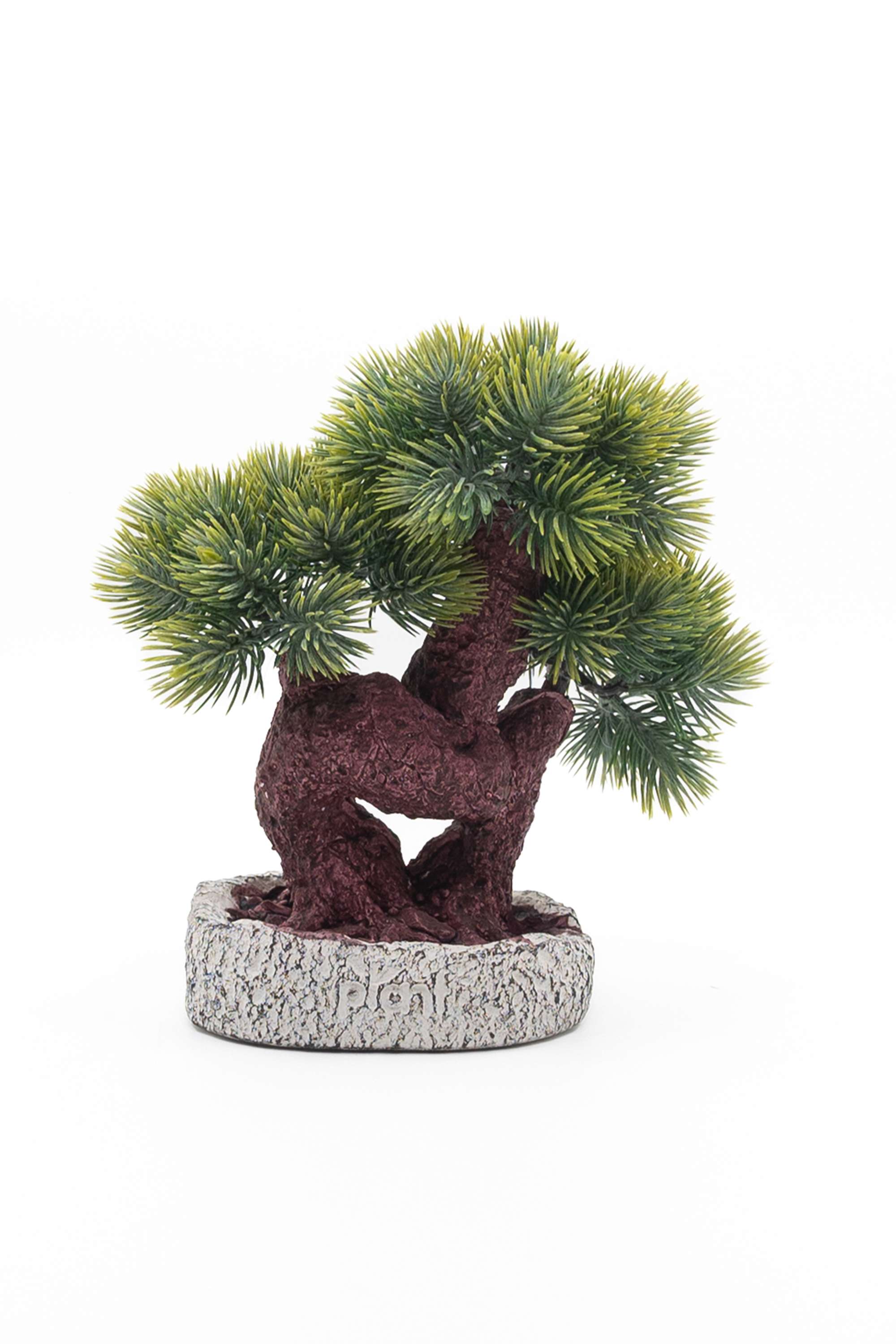Everera-bonsai-plant-green-21CM