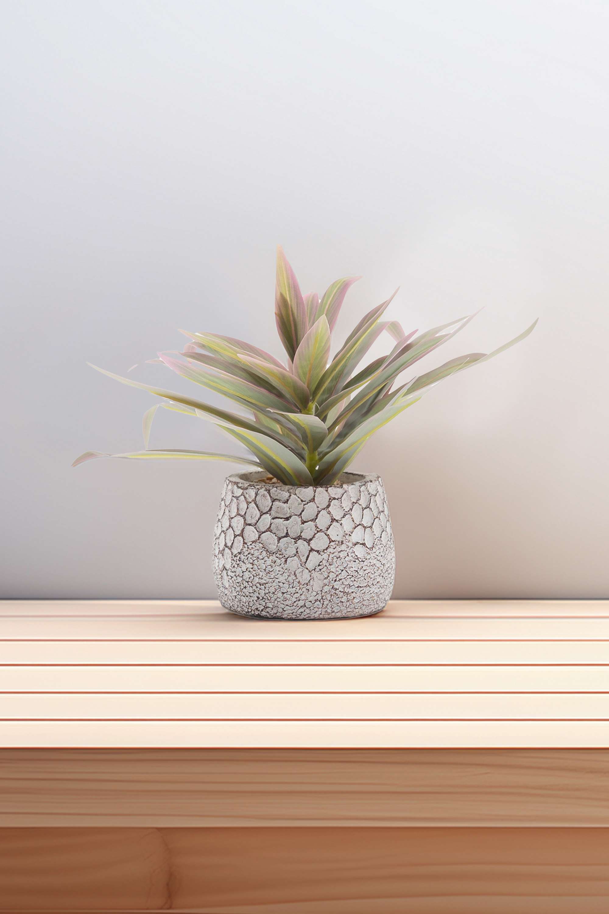 Everera-cordyline-crm-potted-plant-green-22CM