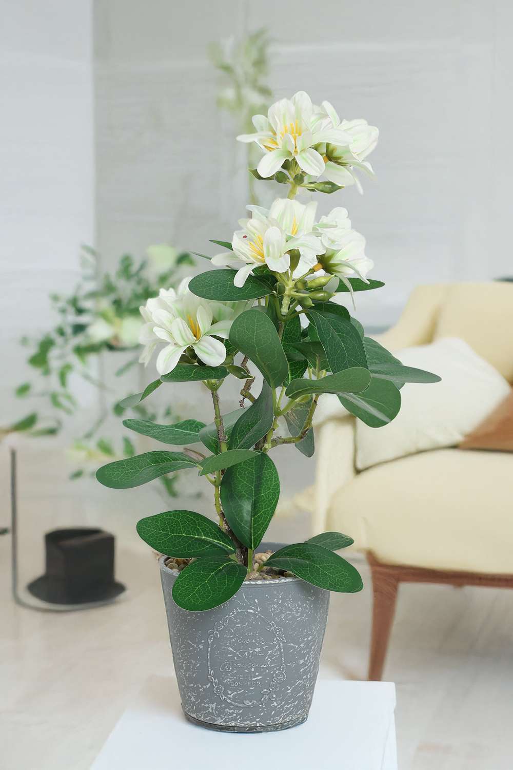 Everera-Azalea-Floor-Potted-Plant-White-30Cm