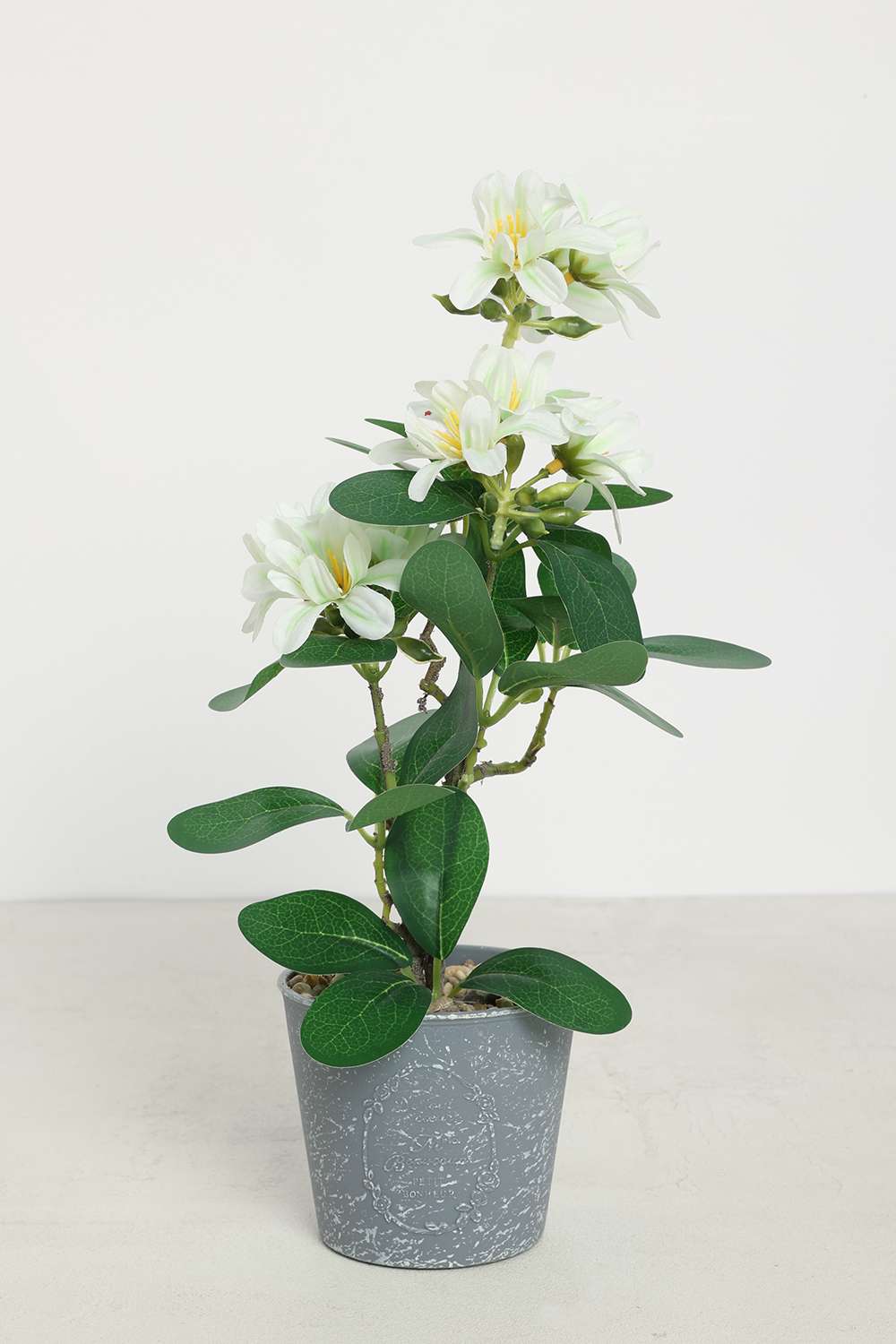 Everera-Azalea-Floor-Potted-Plant-White-30Cm