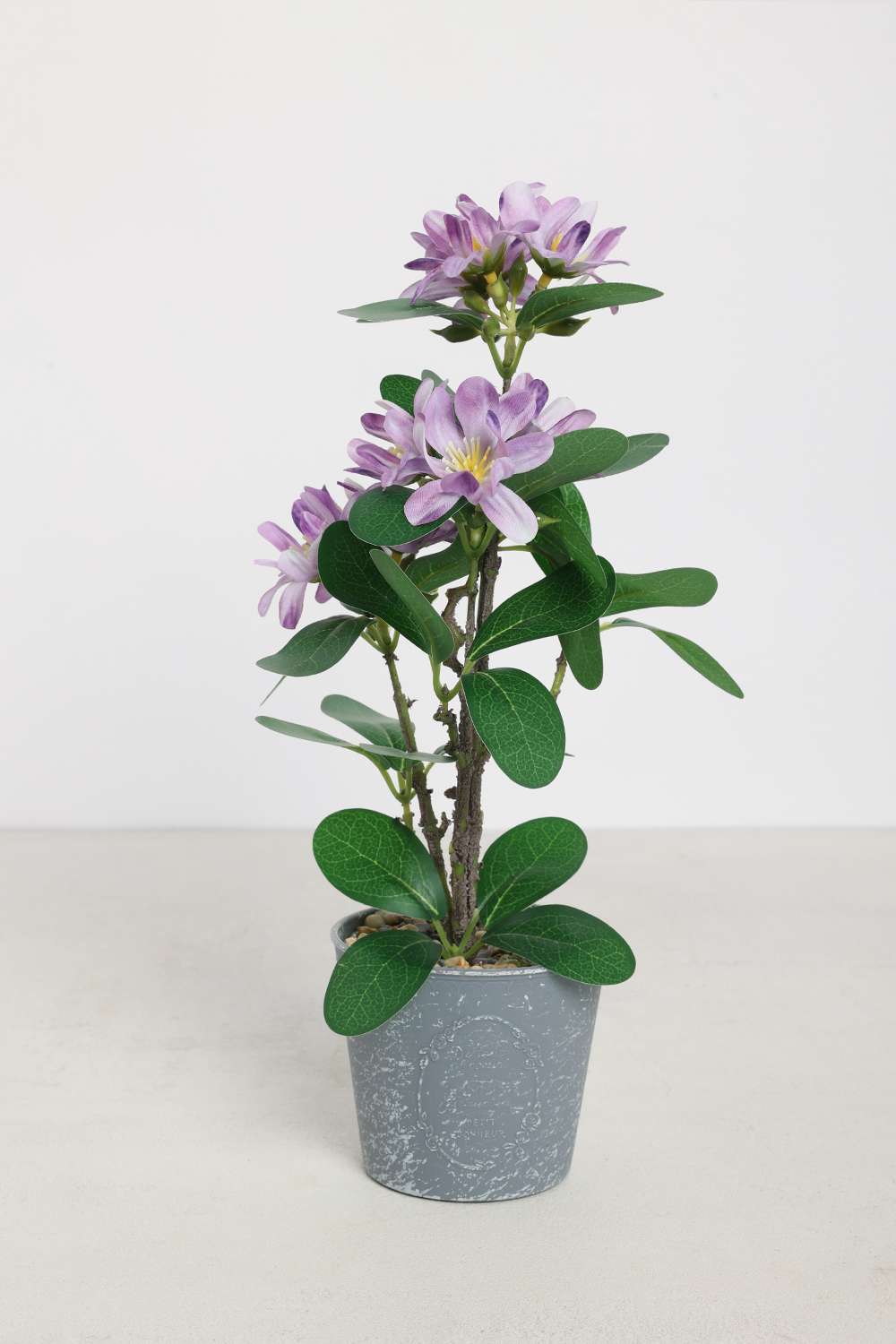 Everera-Azalea-Floor-Potted-Plant-Purple-30Cm