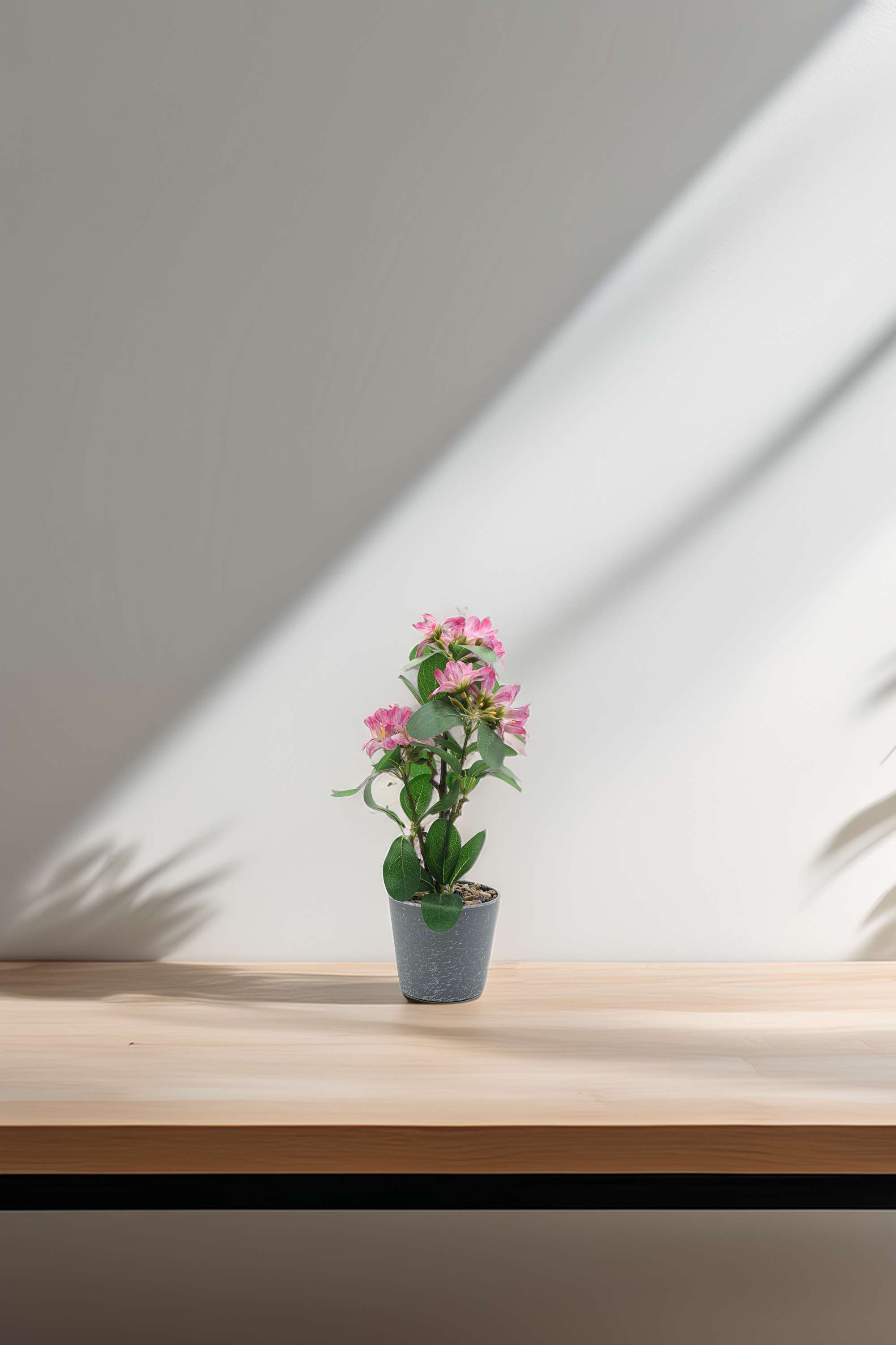 Everera-Azalea-Flower-Potted-Plant-D-Pnk-30-cm