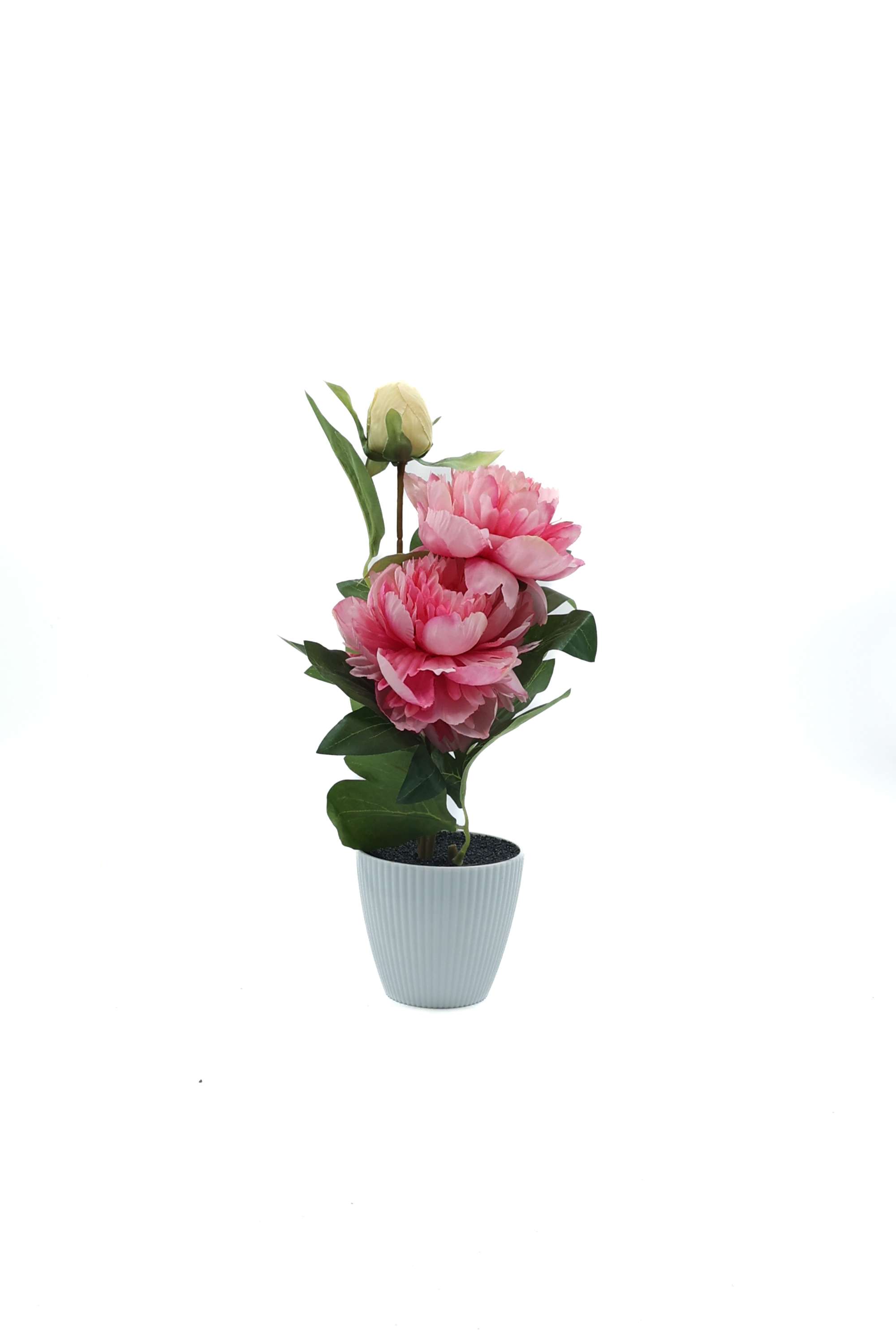 Everera-Plastic-Peony-Flower-Potted-Plant