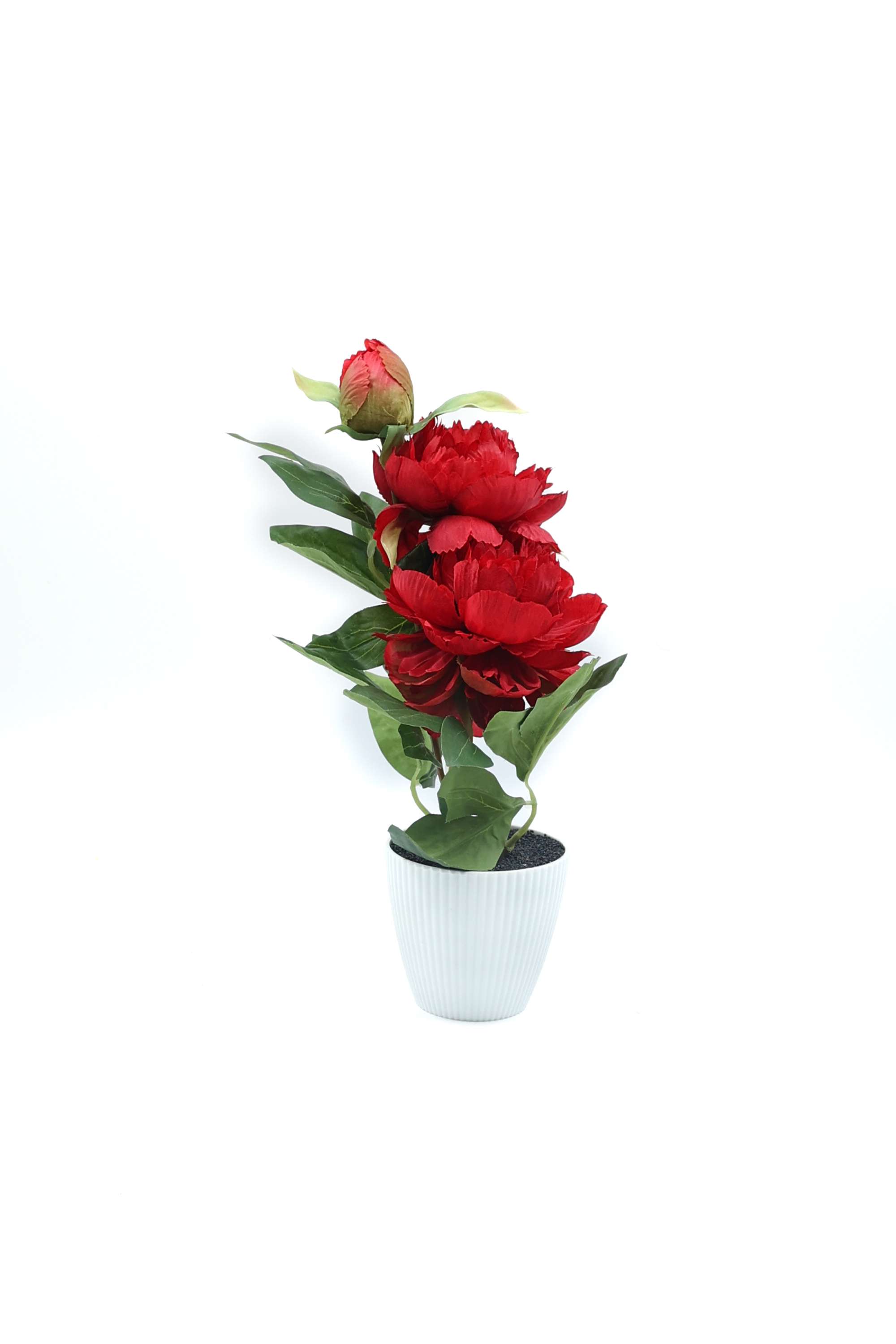 Everera-Plastic-Peony-Flower-Potted-Plant