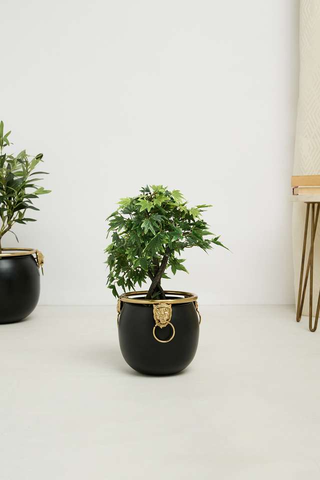Aspen-Lion-Emblem-Planter-26Cm