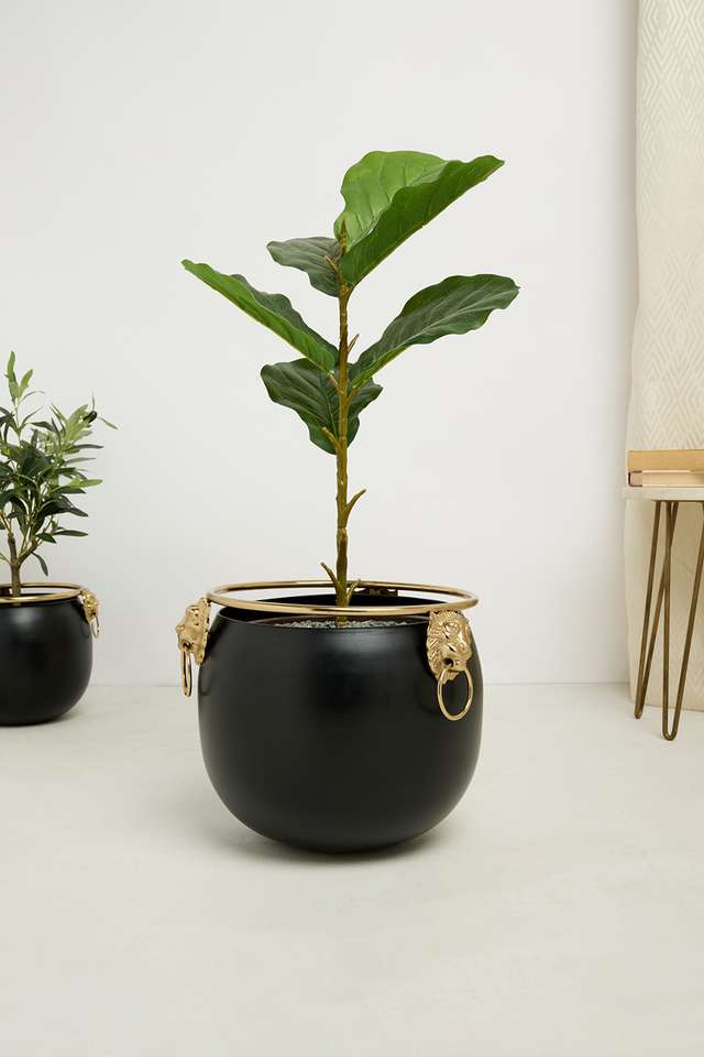 Aspen-Lion-Emblem-Planter-21Cm