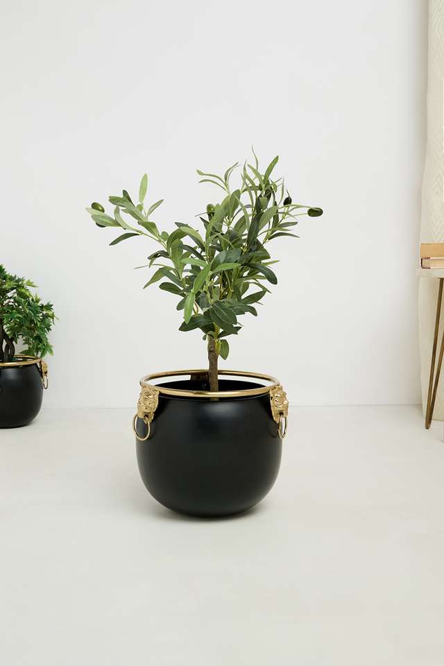 Aspen-Lion-Emblem-Planter-16Cm