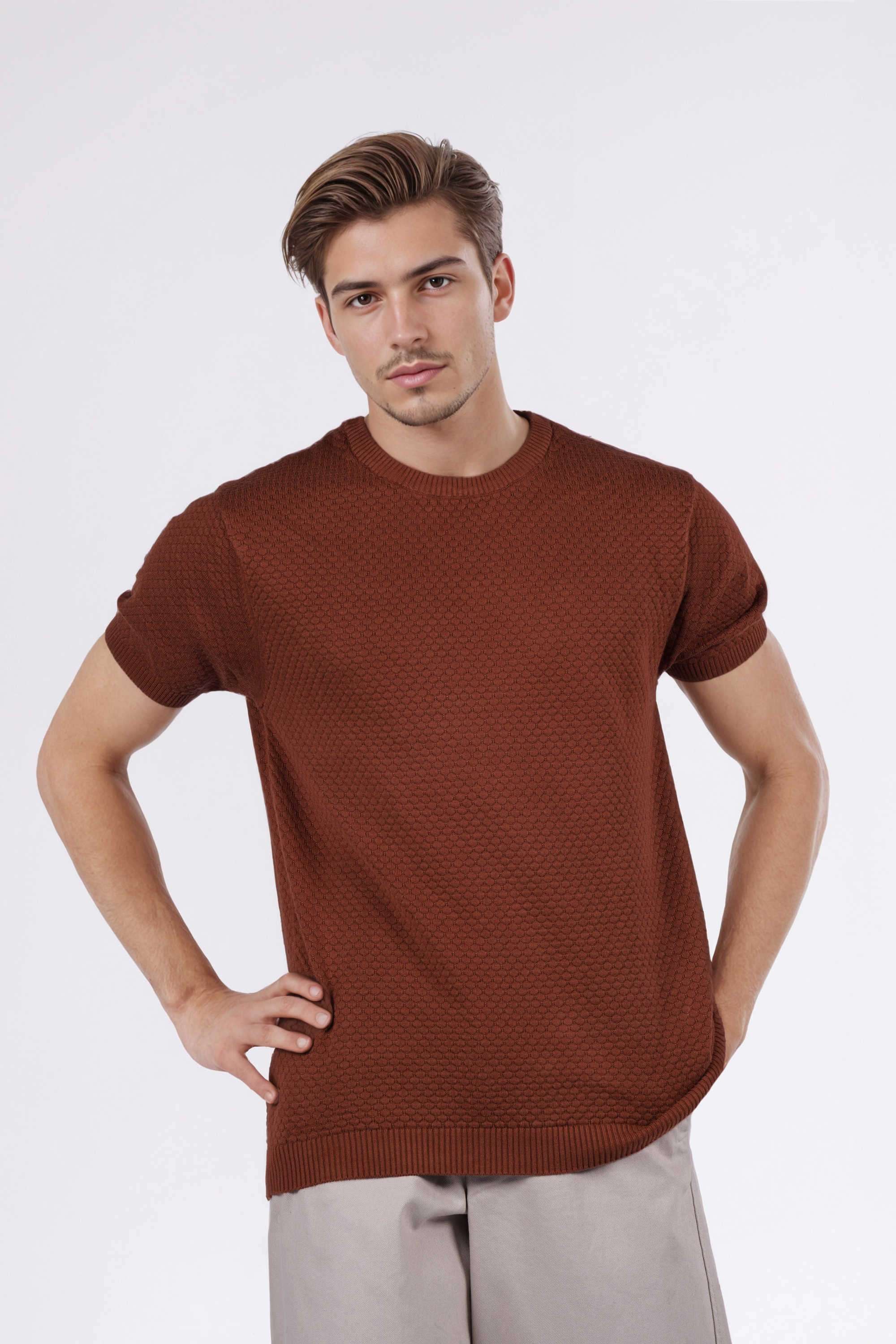 Solid-Cotton-Regular-Fit-Men-T-Shirt