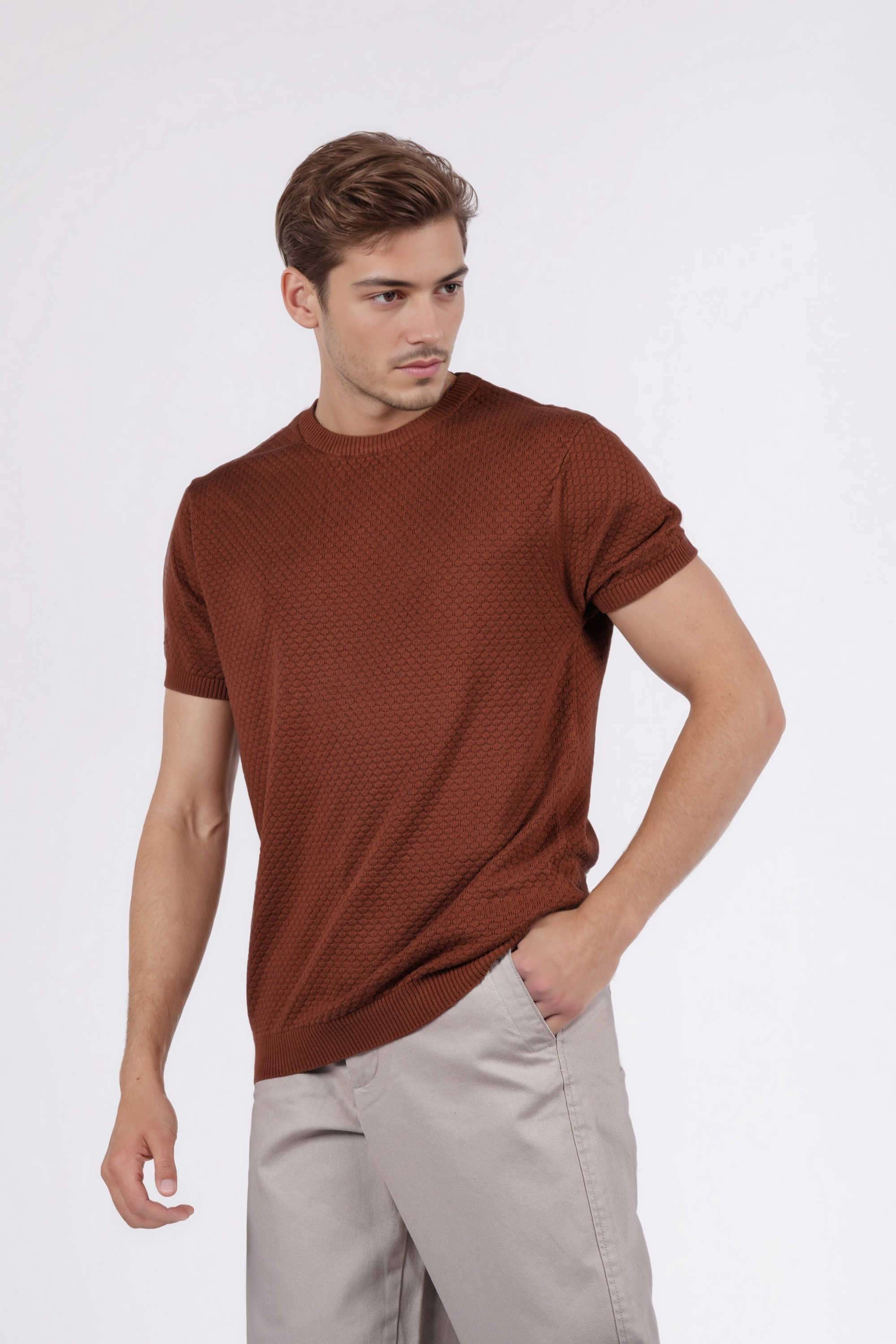 Solid-Cotton-Regular-Fit-Men-T-Shirt