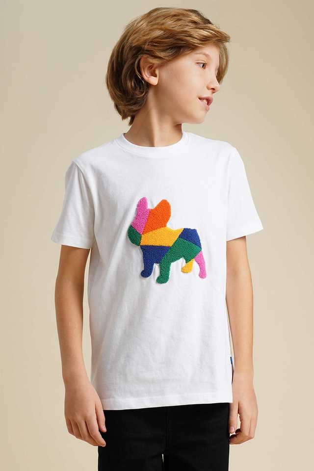 Embroidered-Cotton-Regular-Fit-Boys-T-Shirt