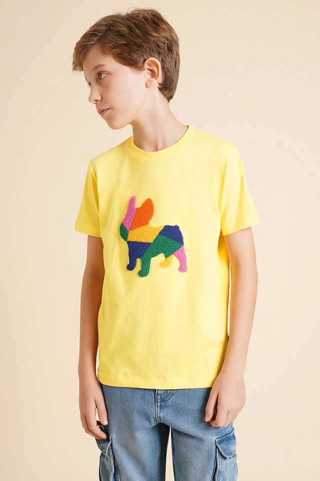 Embroidered-Cotton-Regular-Fit-Boys-T-Shirt