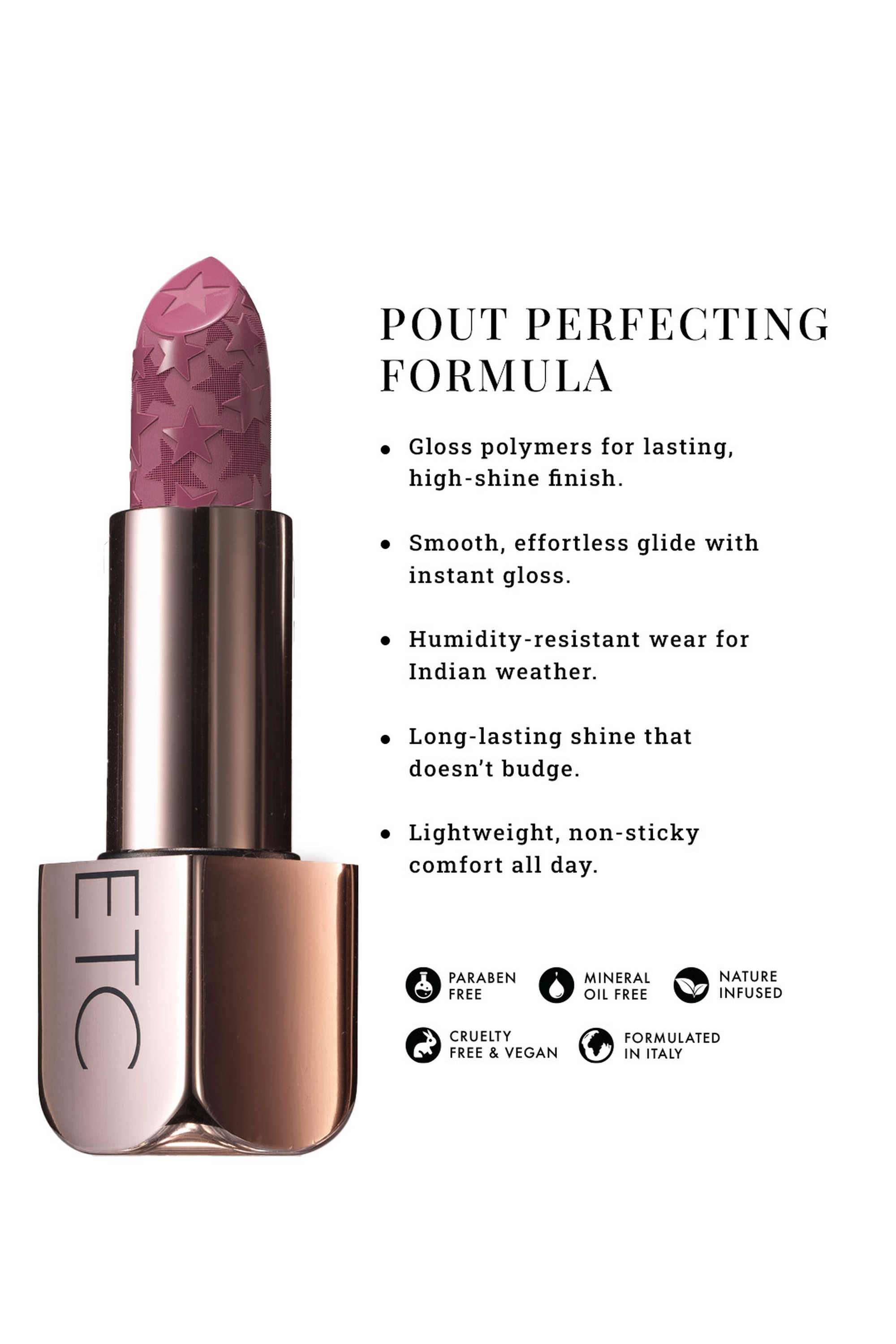 Pout -Perfect -Etc-Moisture-Shine-Lipstick---After-Hours -4-gm