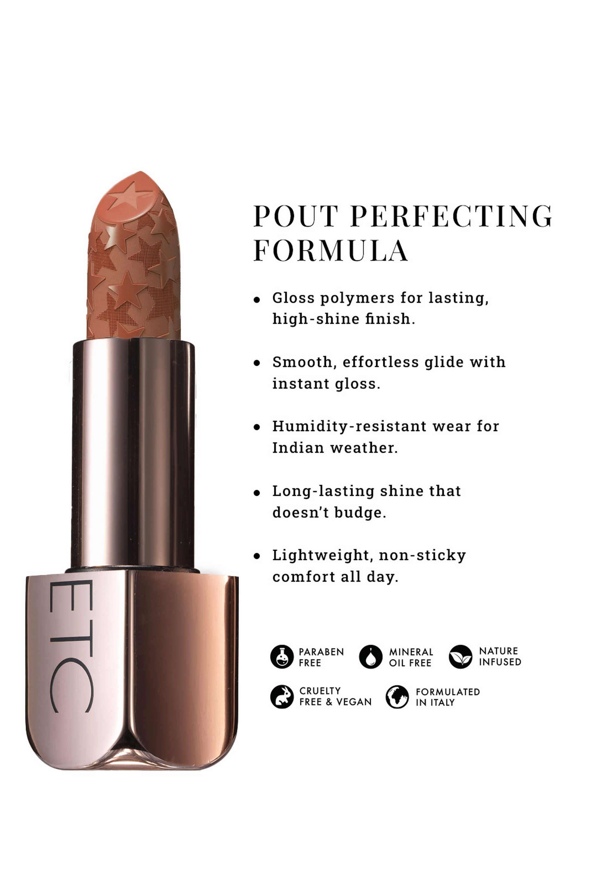 Pout -Perfect -Etc-Moisture-Shine-Lipstick---Velvet-Toast -4-gm