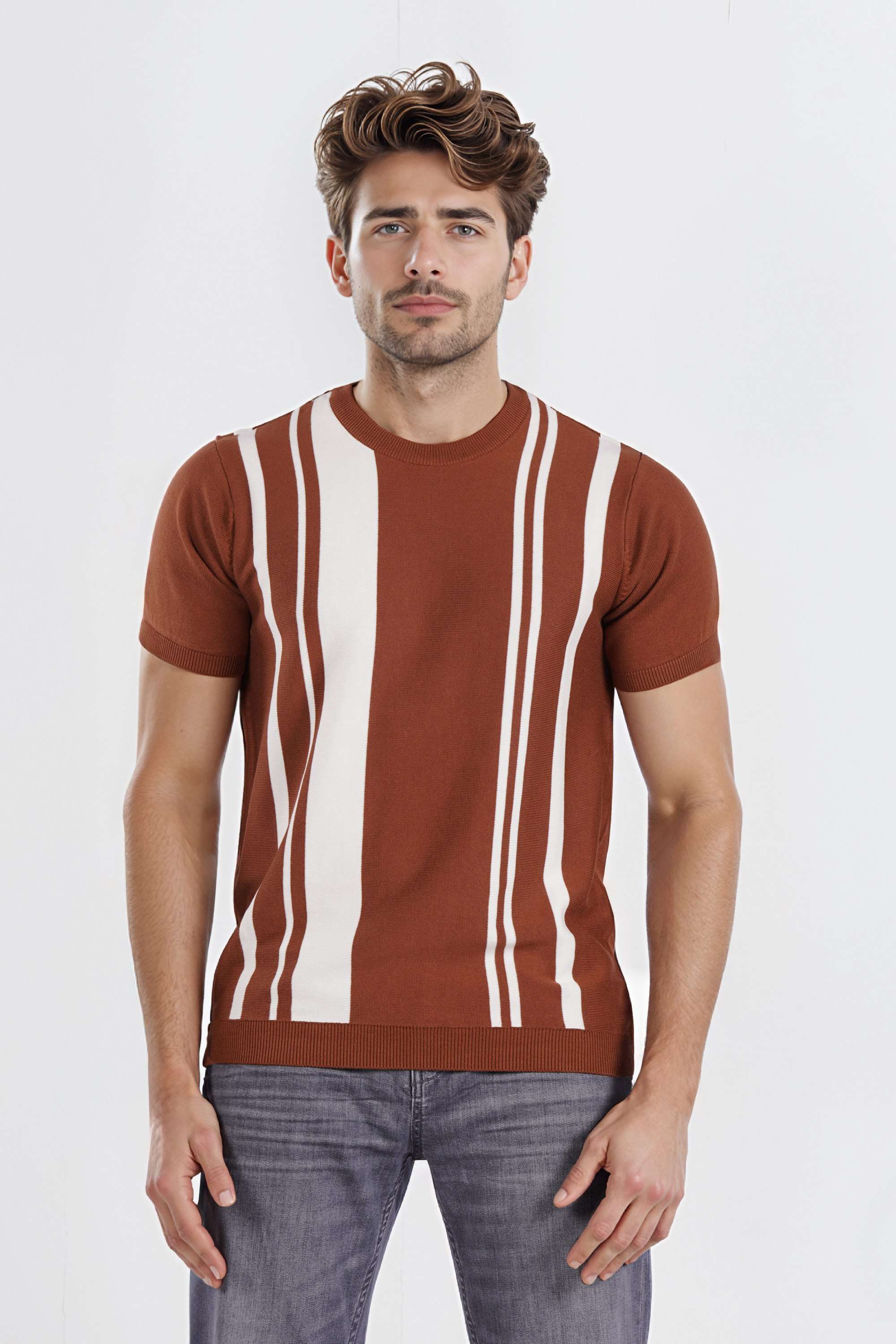 Stripes-Cotton-Regular-Fit-Men-T-Shirt