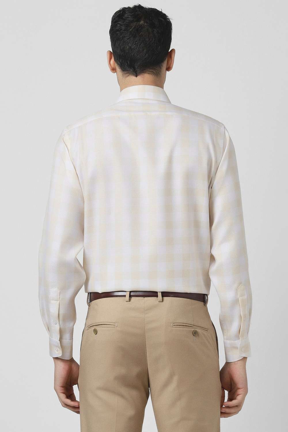 Checks-Cotton-Regular-Fit-Men-s-Formal-Shirt
