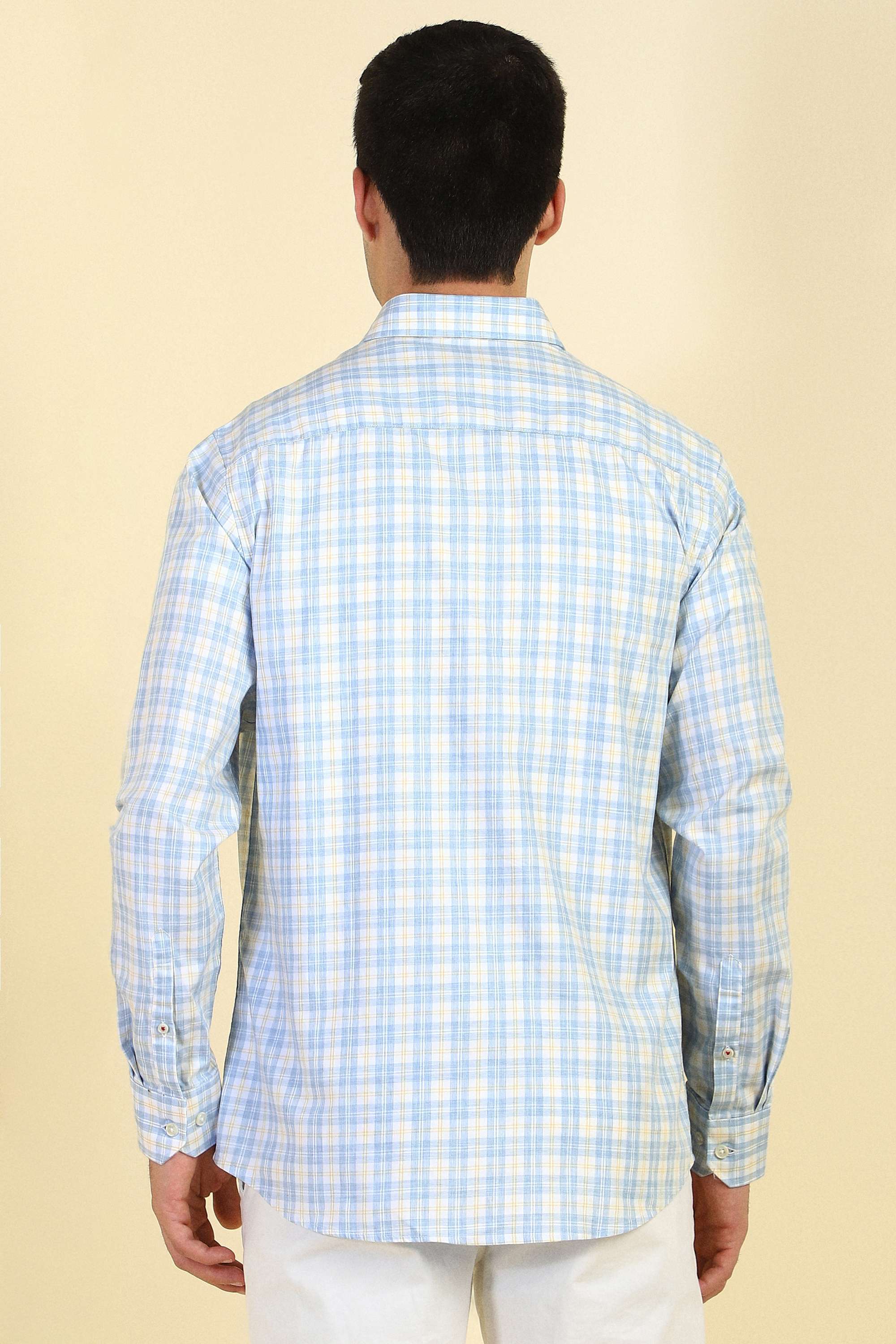 Checks-Cotton-Regular-Fit-Men-s-Formal-Shirt