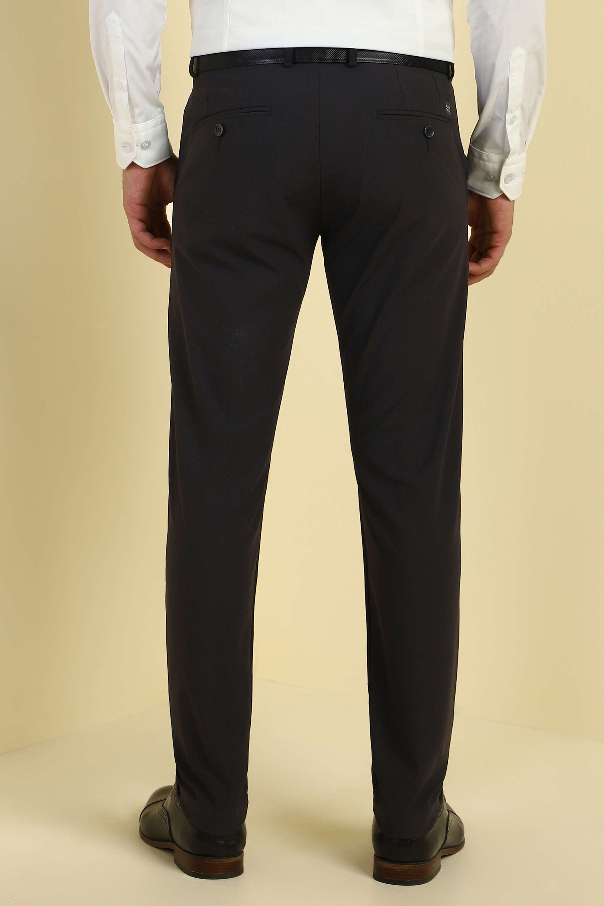 Textured-Polyester-Regular-Fit-Men-s-Formal-Trousers