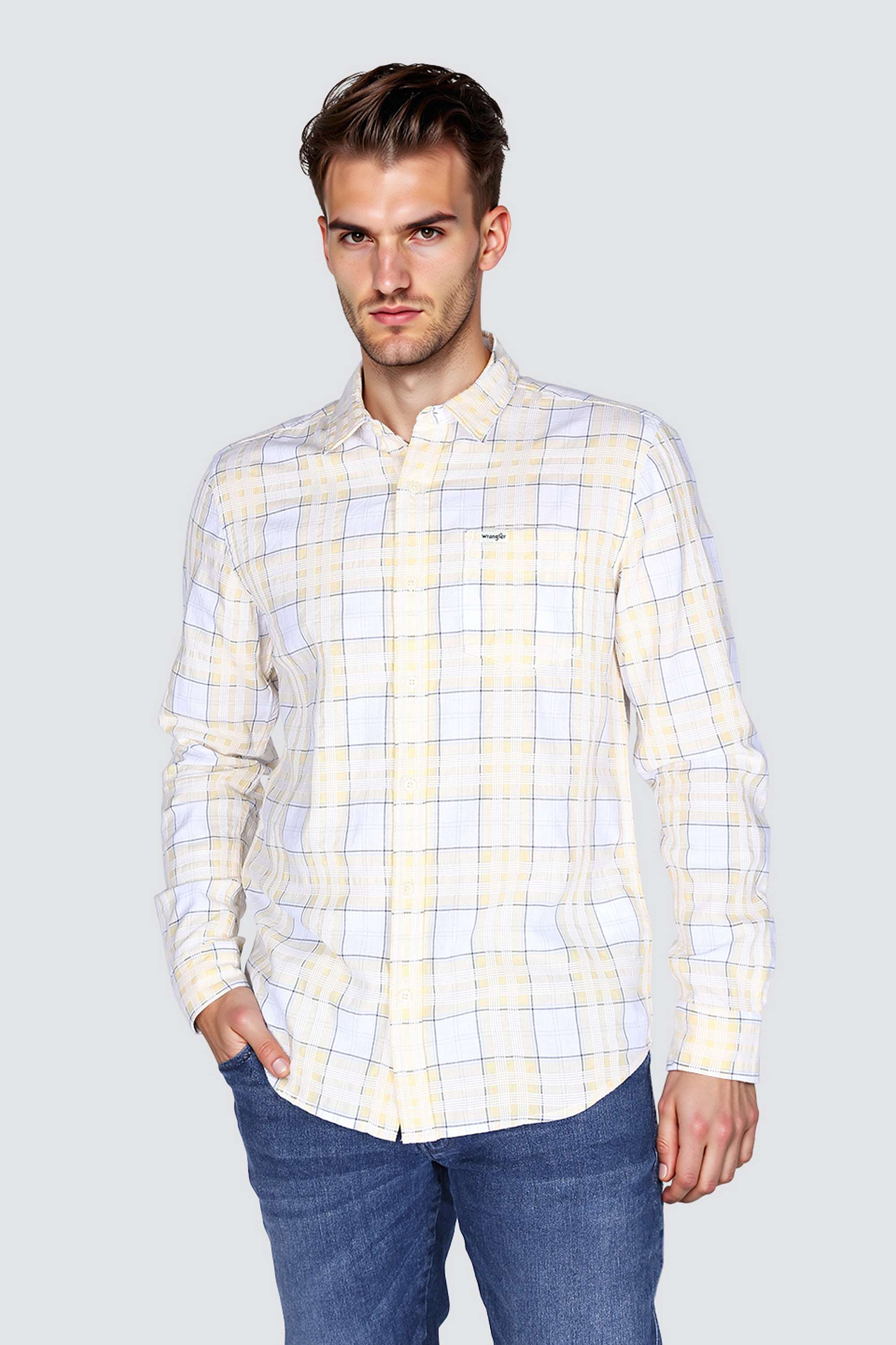 Checks-Cotton-Regular-Fit-Men-s-Shirt