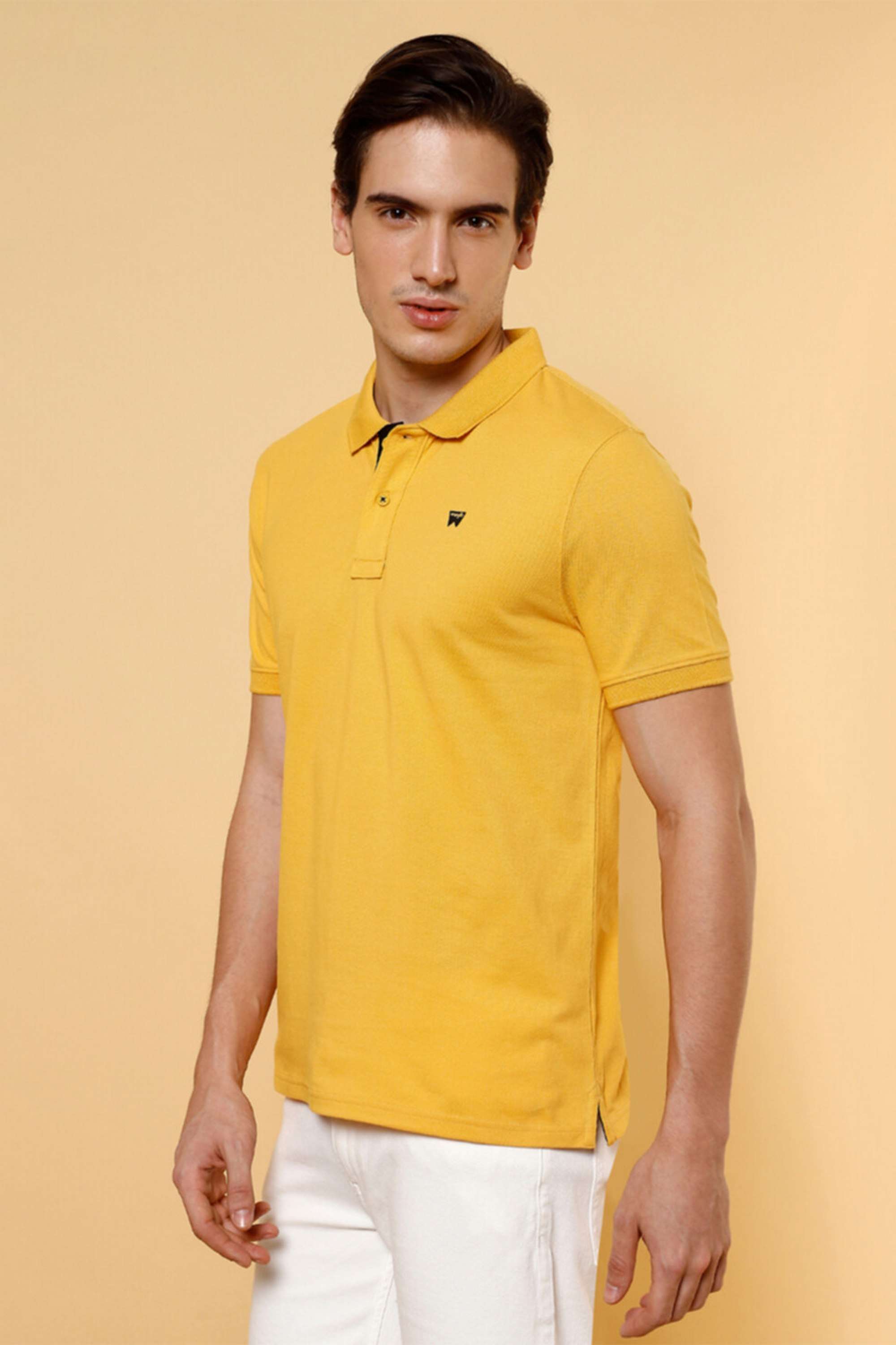 Solid-Cotton-Regular-Fit-Men-s-T-Shirt