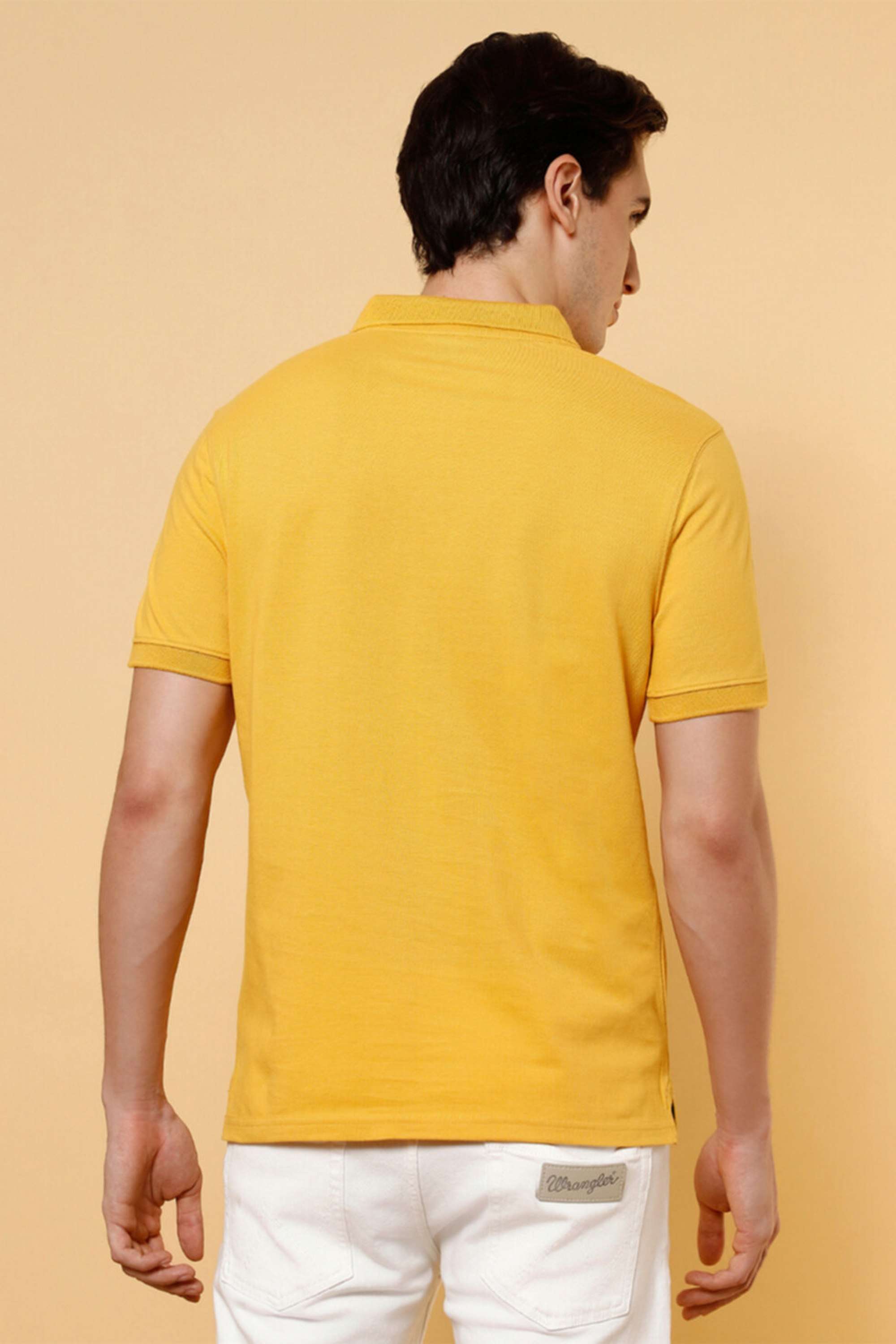 Solid-Cotton-Regular-Fit-Men-s-T-Shirt