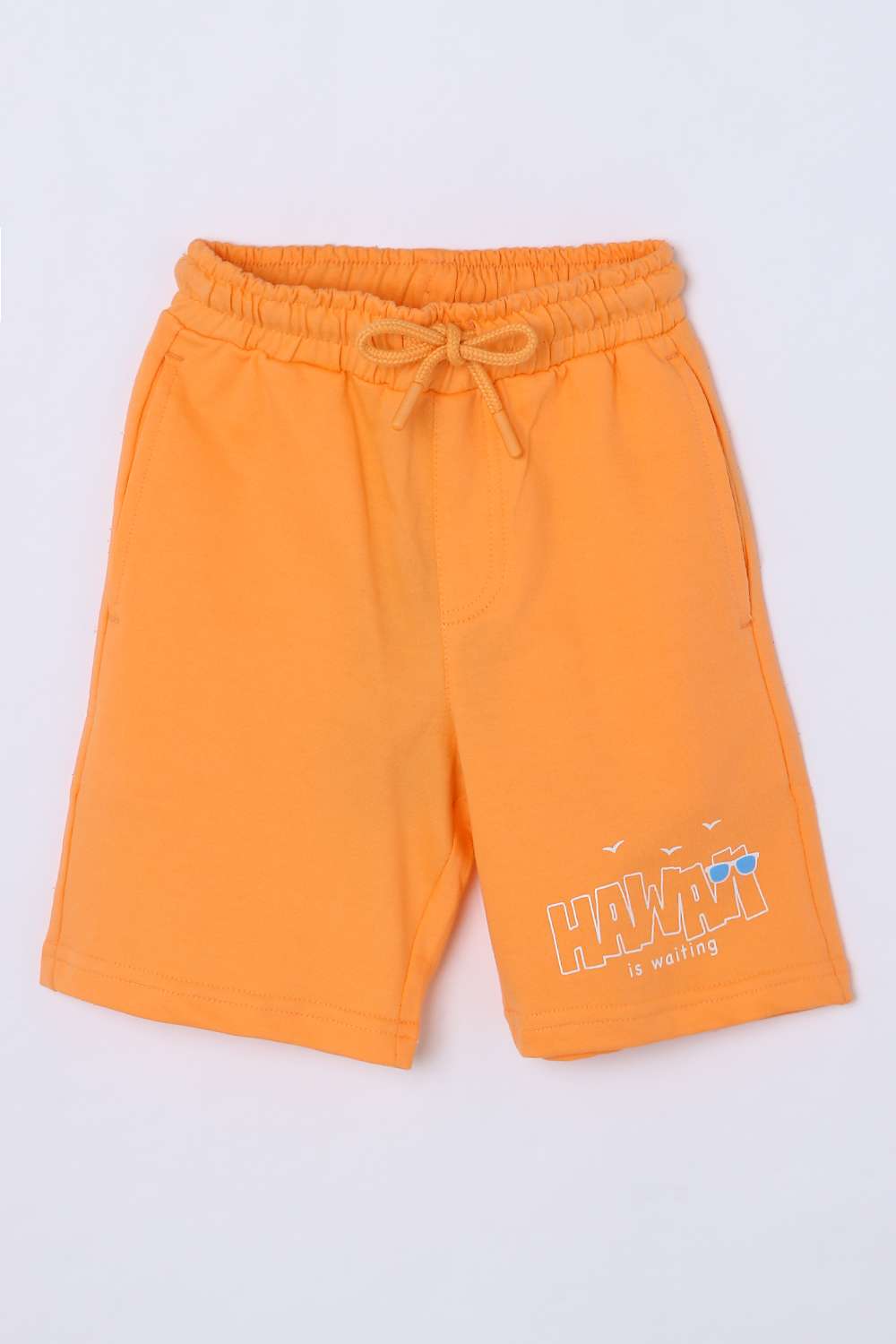 Graphic-Print-Blended-Fabric-Regular-Fit-Boys-Shorts