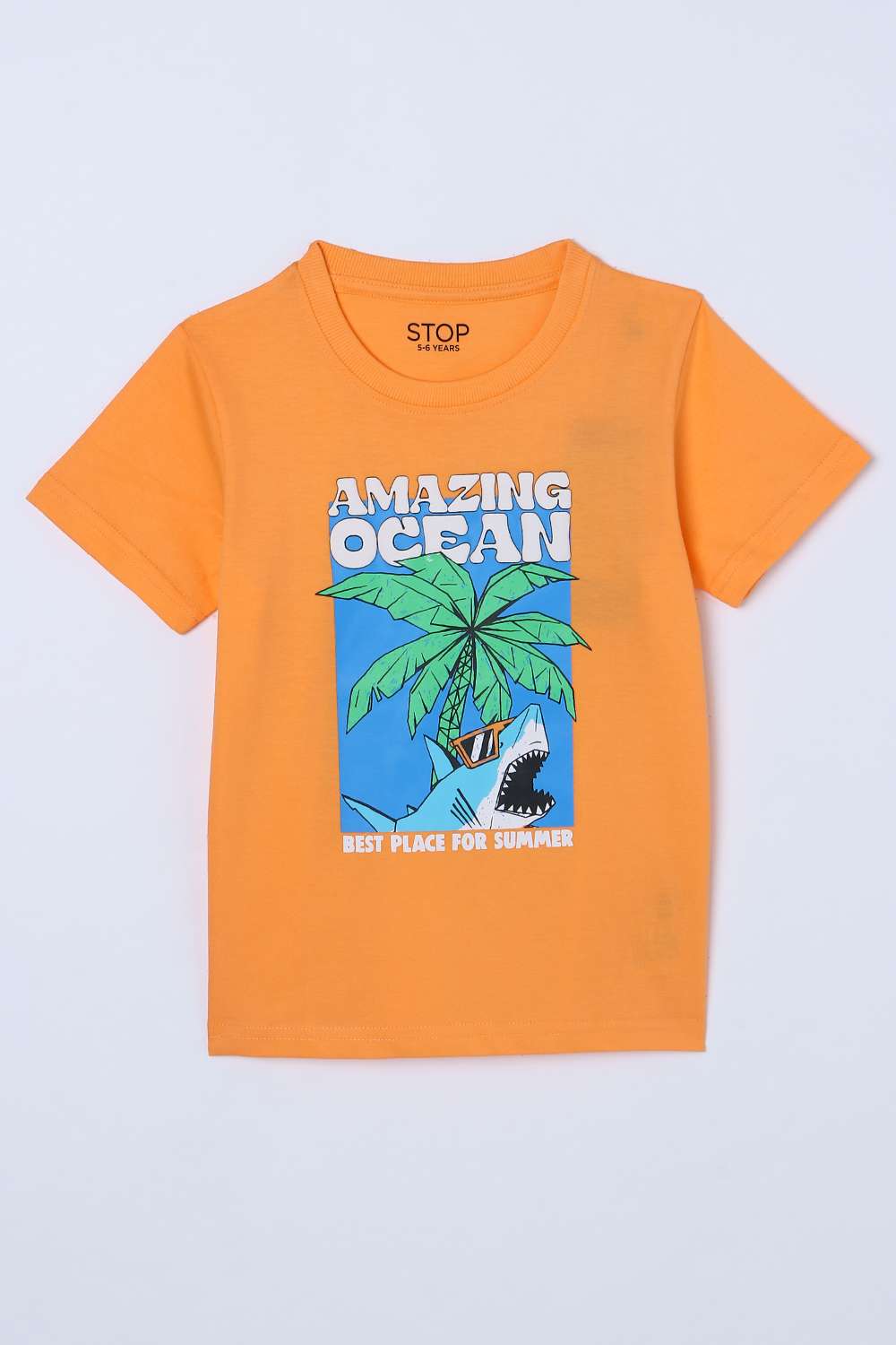 Graphic-Print-Jersey-Round-Neck-Boys-T-Shirt