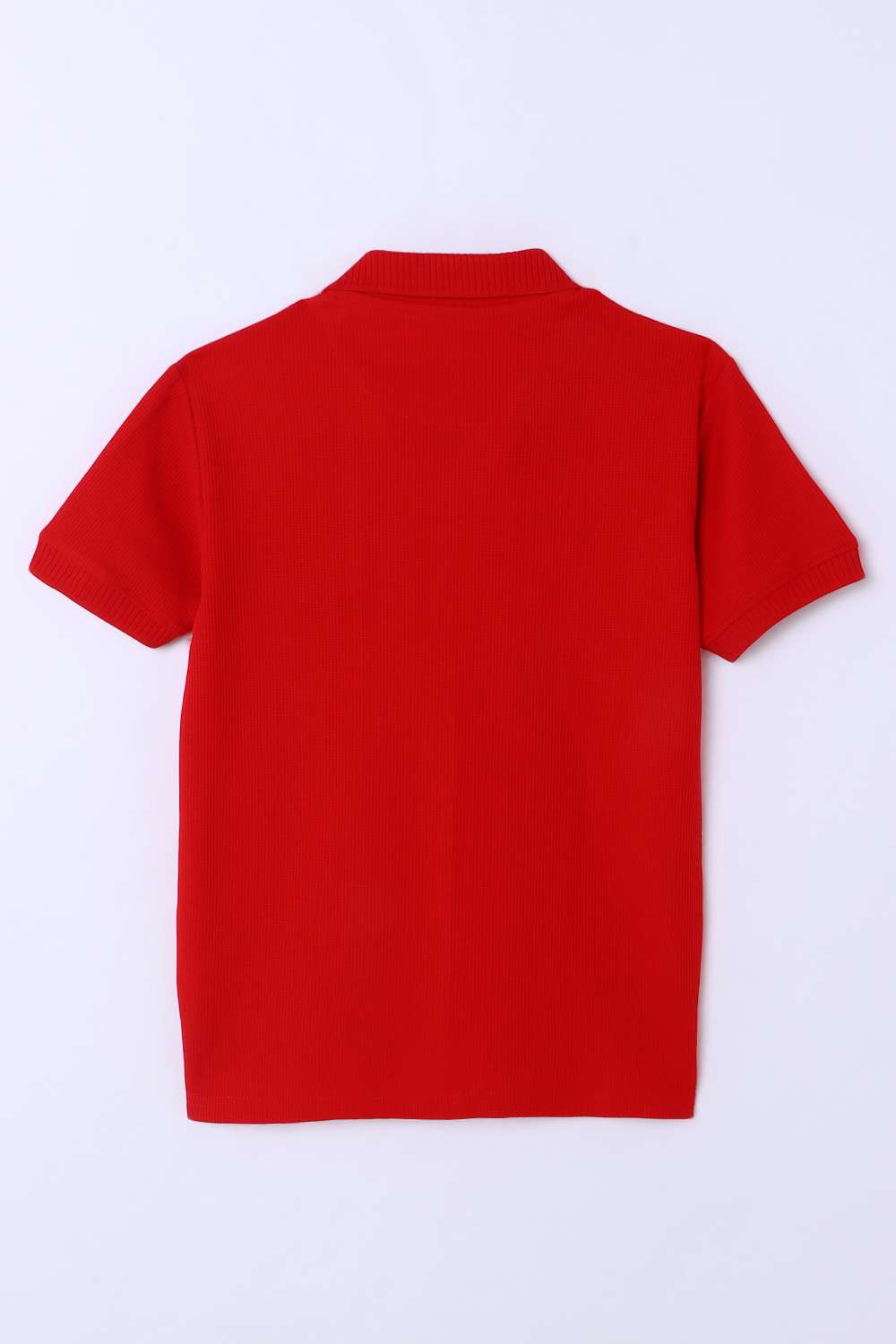 Solid-Cotton-Collared-Boys-T-Shirt