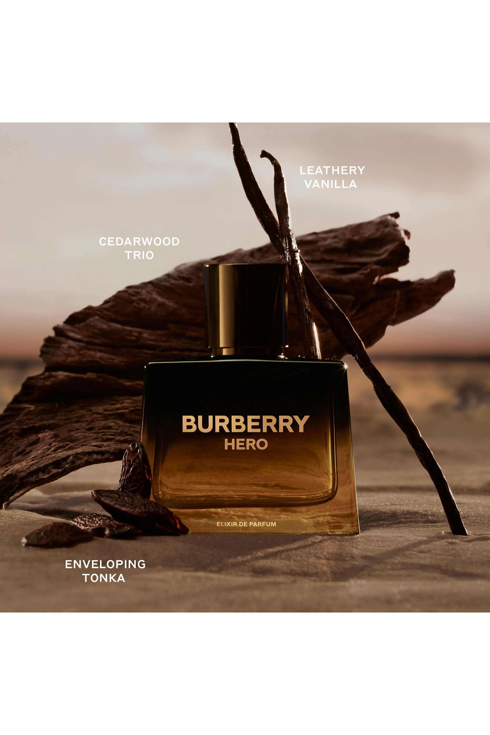 Buy BURBERRY NoColour Hero Elixir Parfum for Men - 60 ml