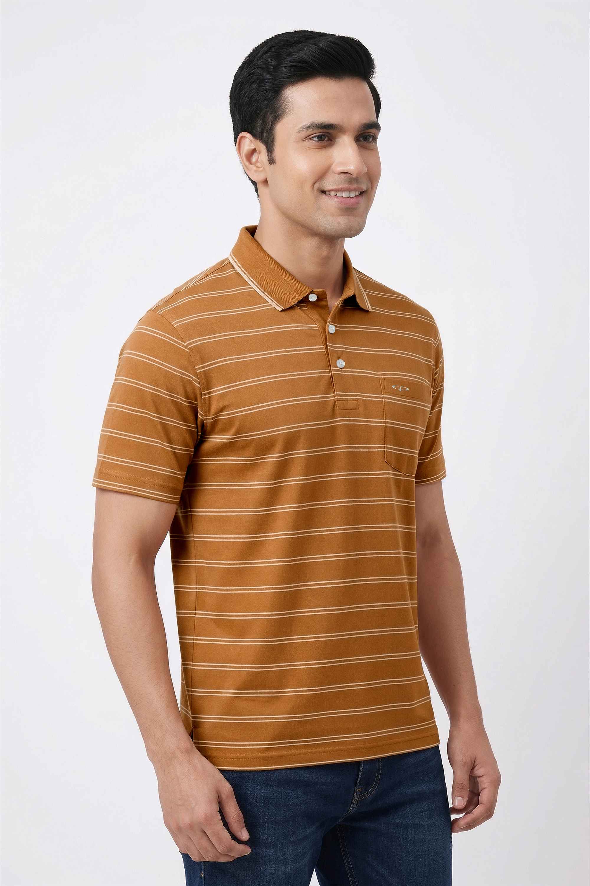 Stripes-Cotton-Regular-Fit-Men-s-T-Shirt