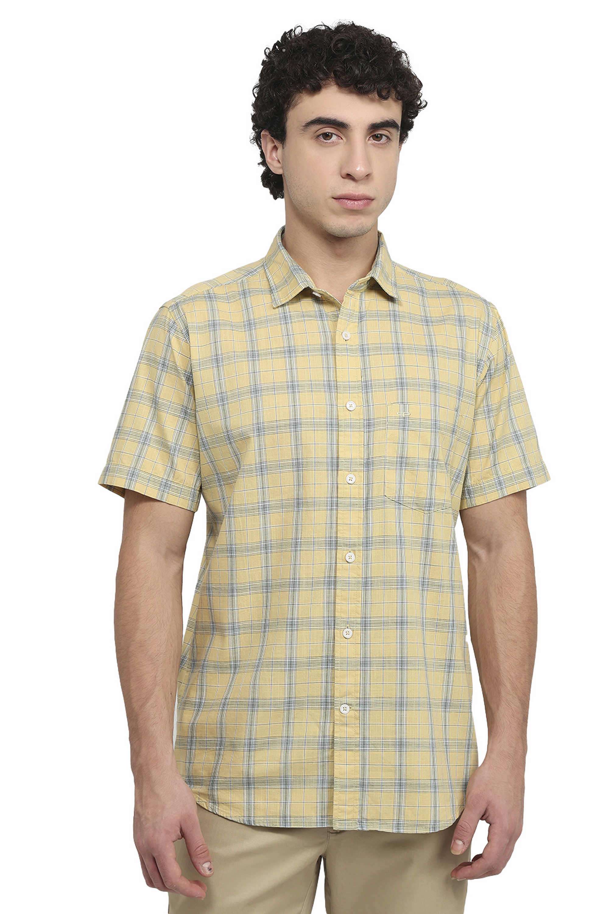 Checks-Cotton-Regular-Fit-Men-s-Casual-Shirt