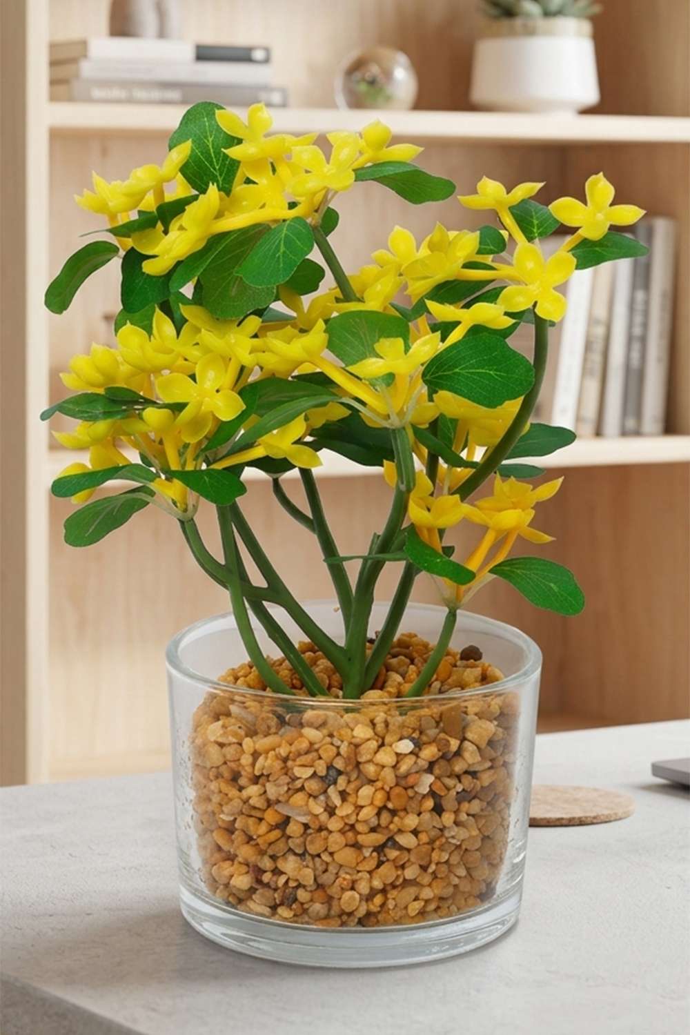 Noir-Jasmine-Potted-Flower-Yellow-24Cm